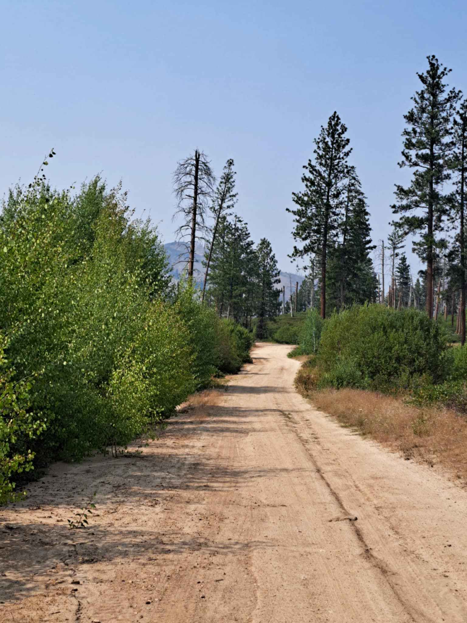 Roaring River Road - FS 255