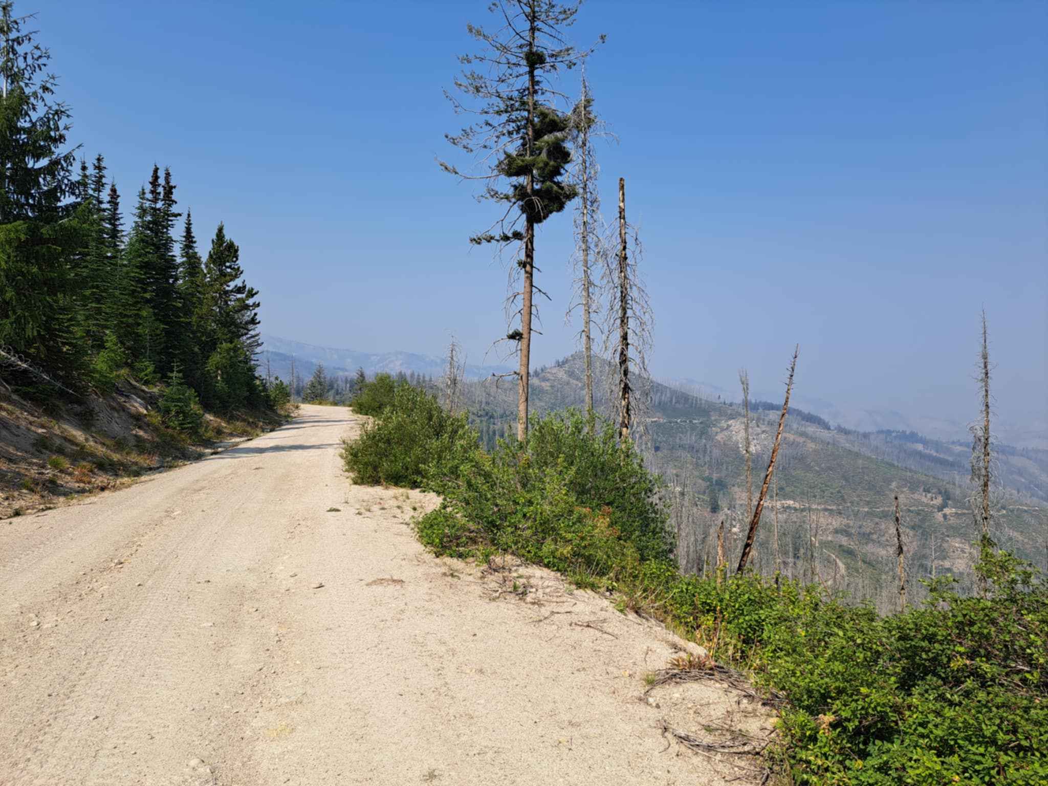 Roaring River Road - FS 255