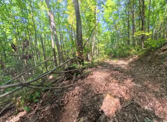 Chester Knob Upper Trail