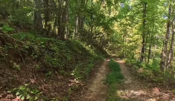 Chester Knob Lower Trail