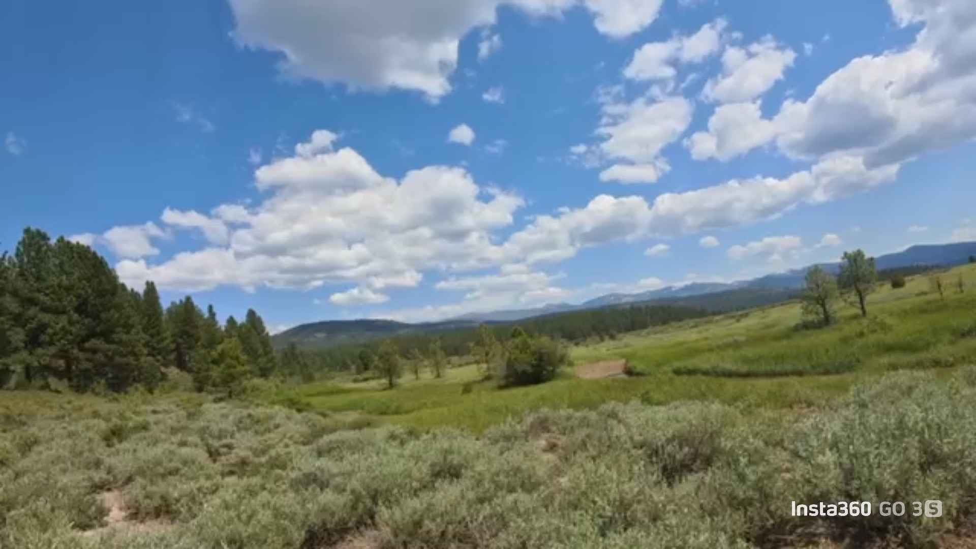 Billy Hill's Stampede