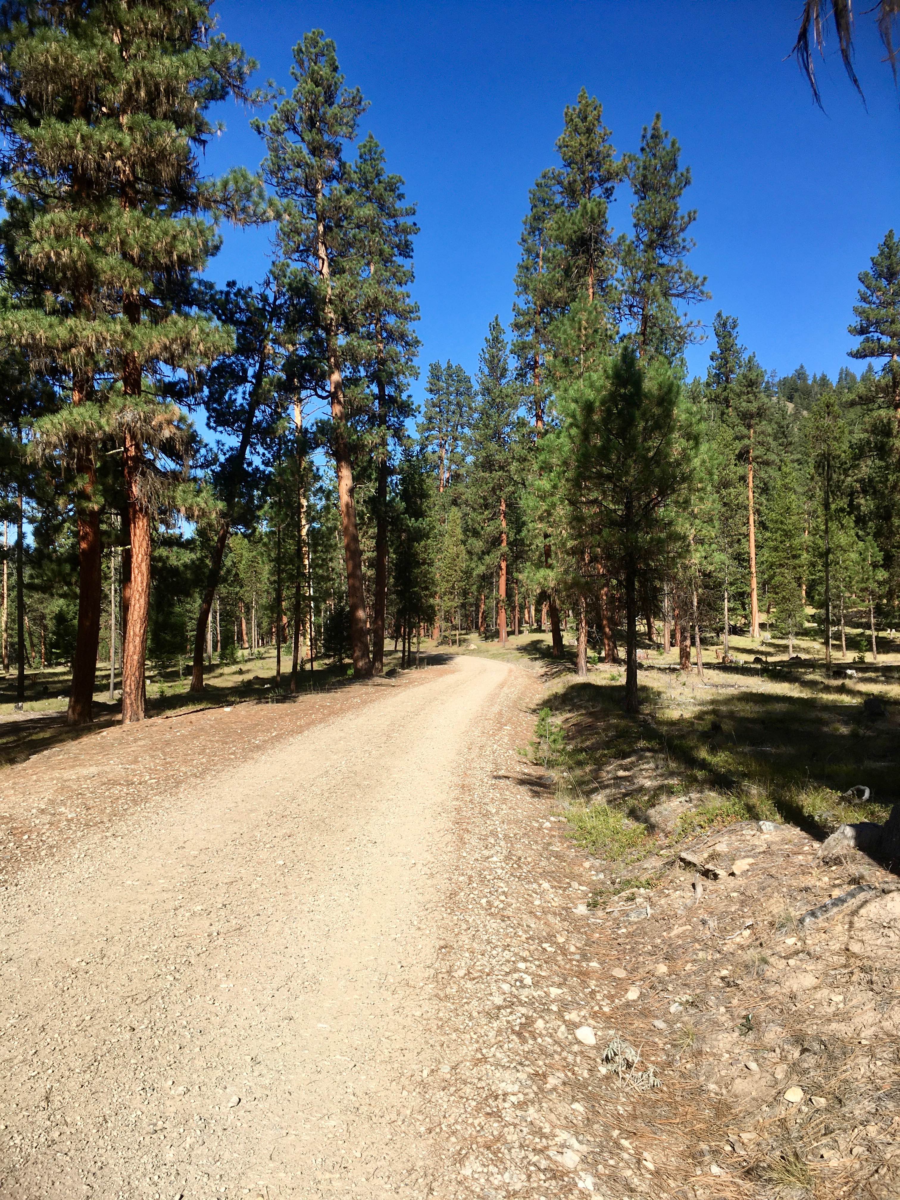 Overwhich Road - FS 5703