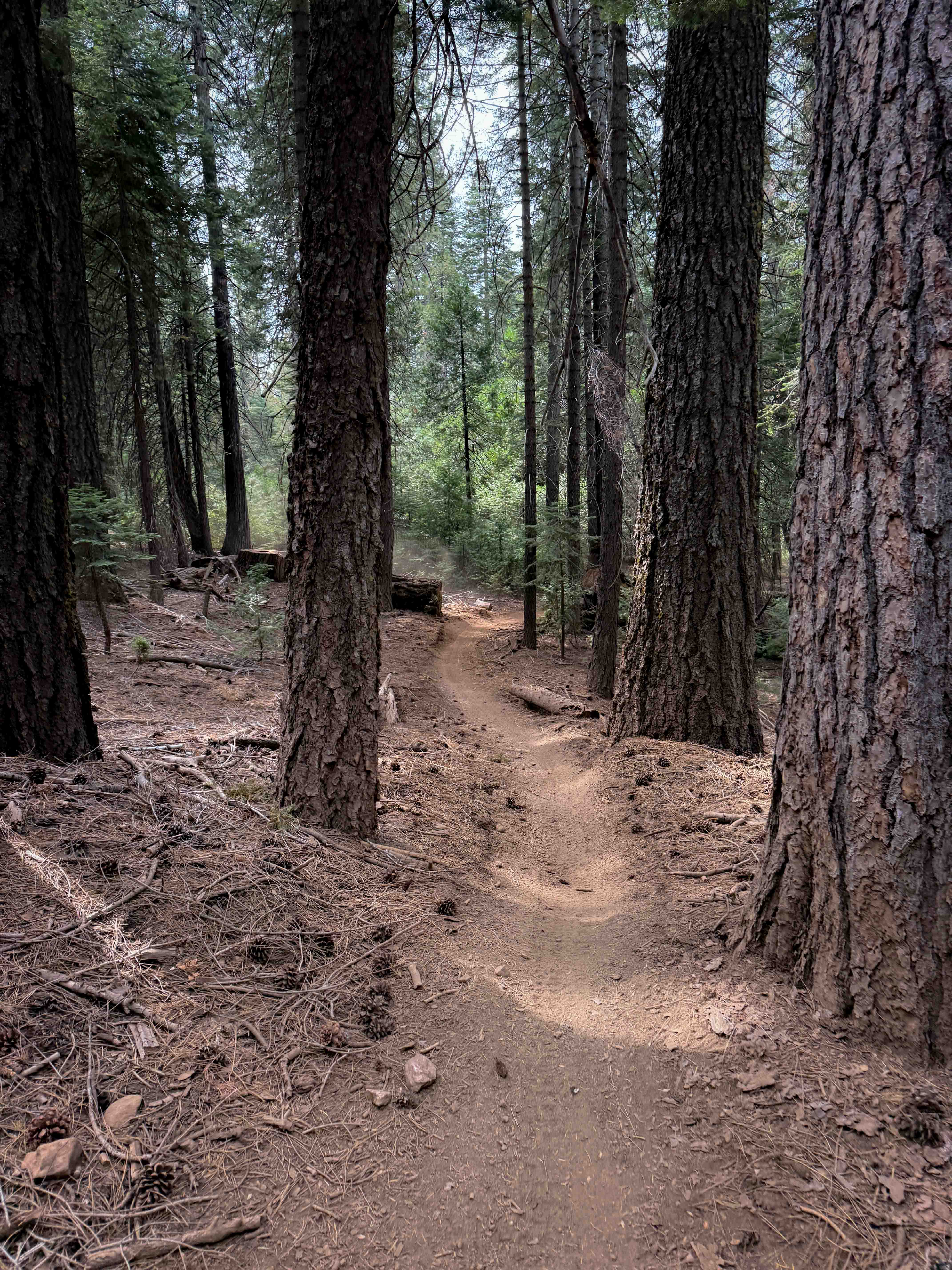 Omega Overlook (#54)