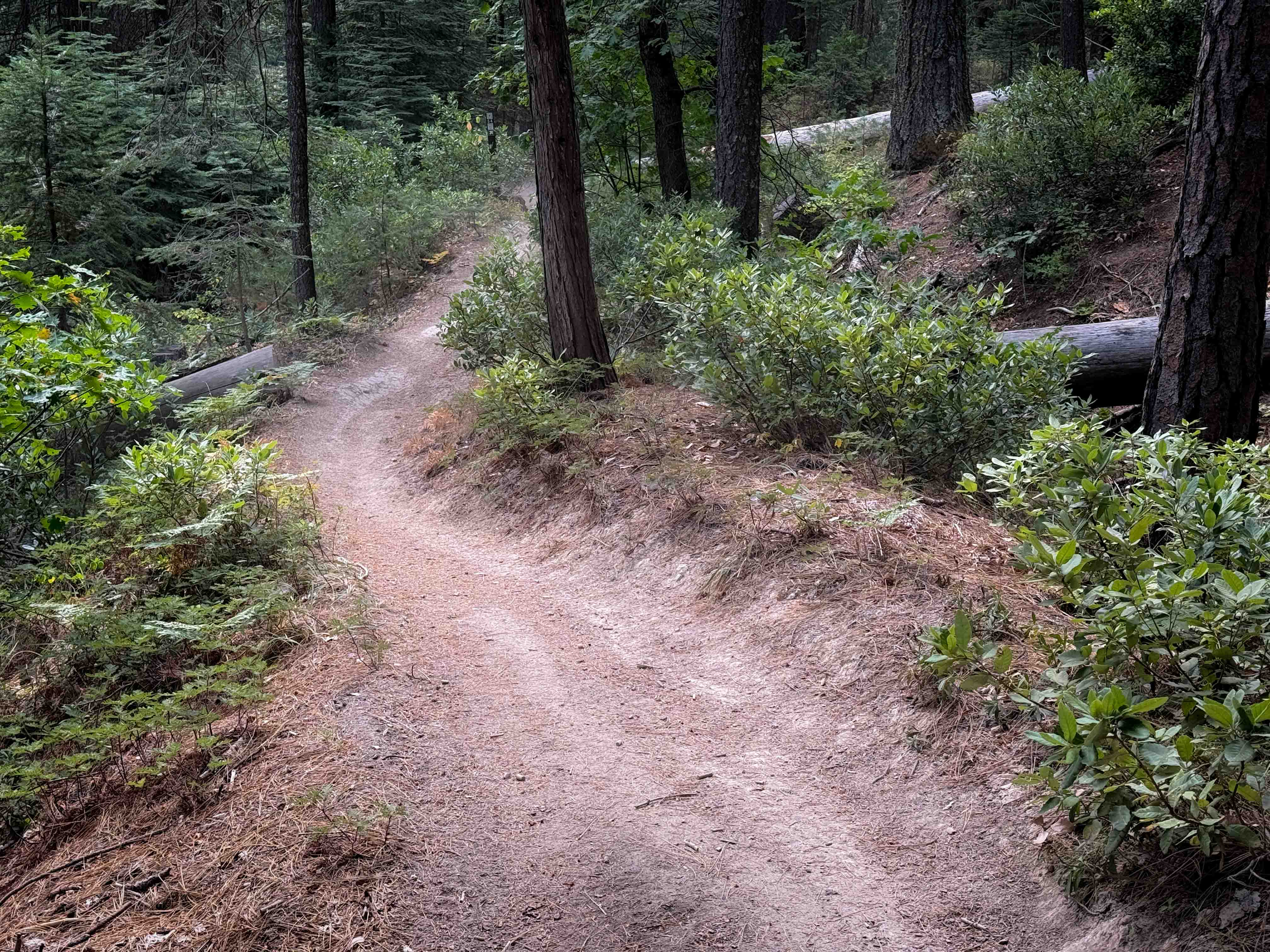 Omega Overlook (#54)