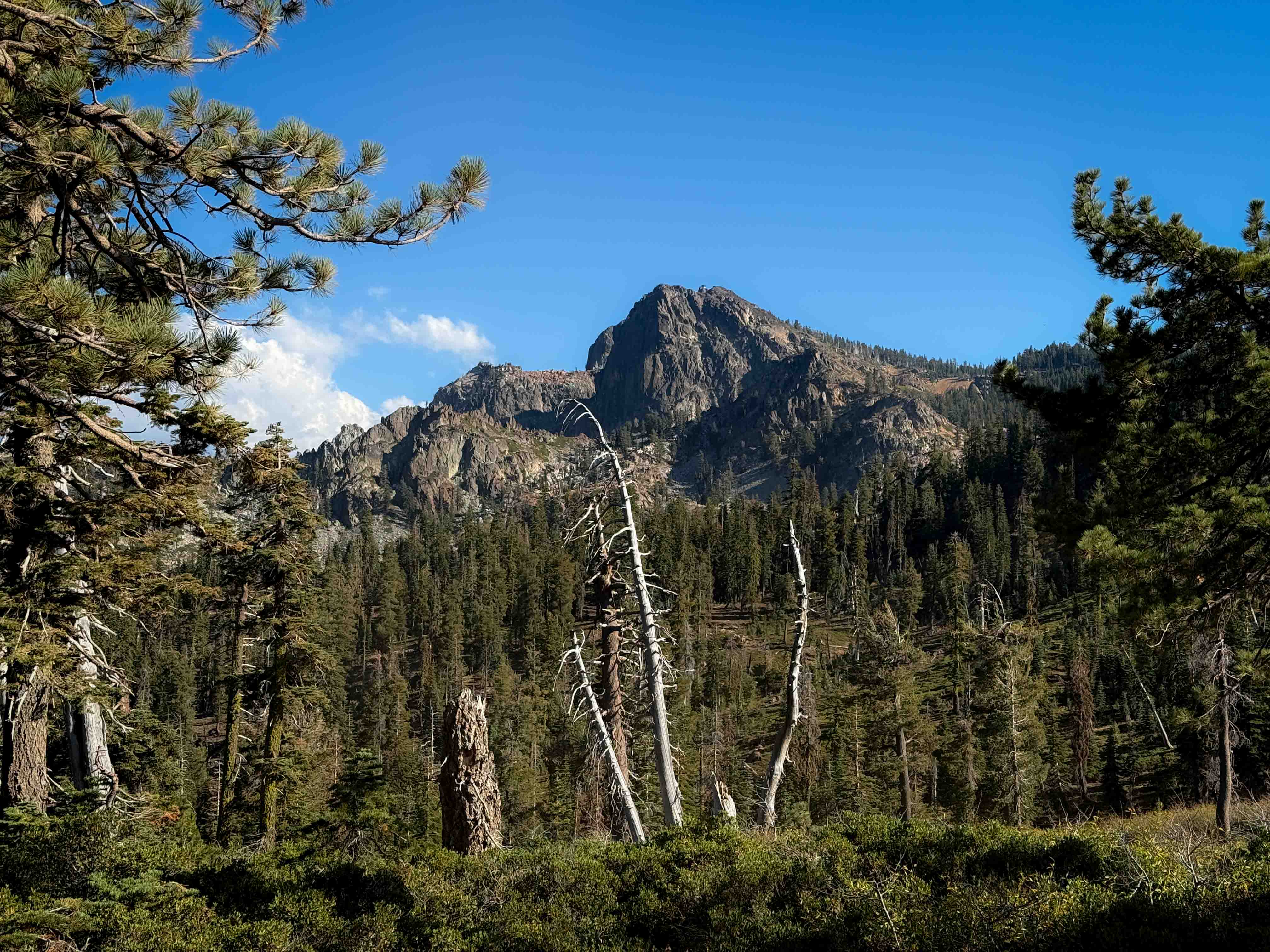 Gold Valley Connector