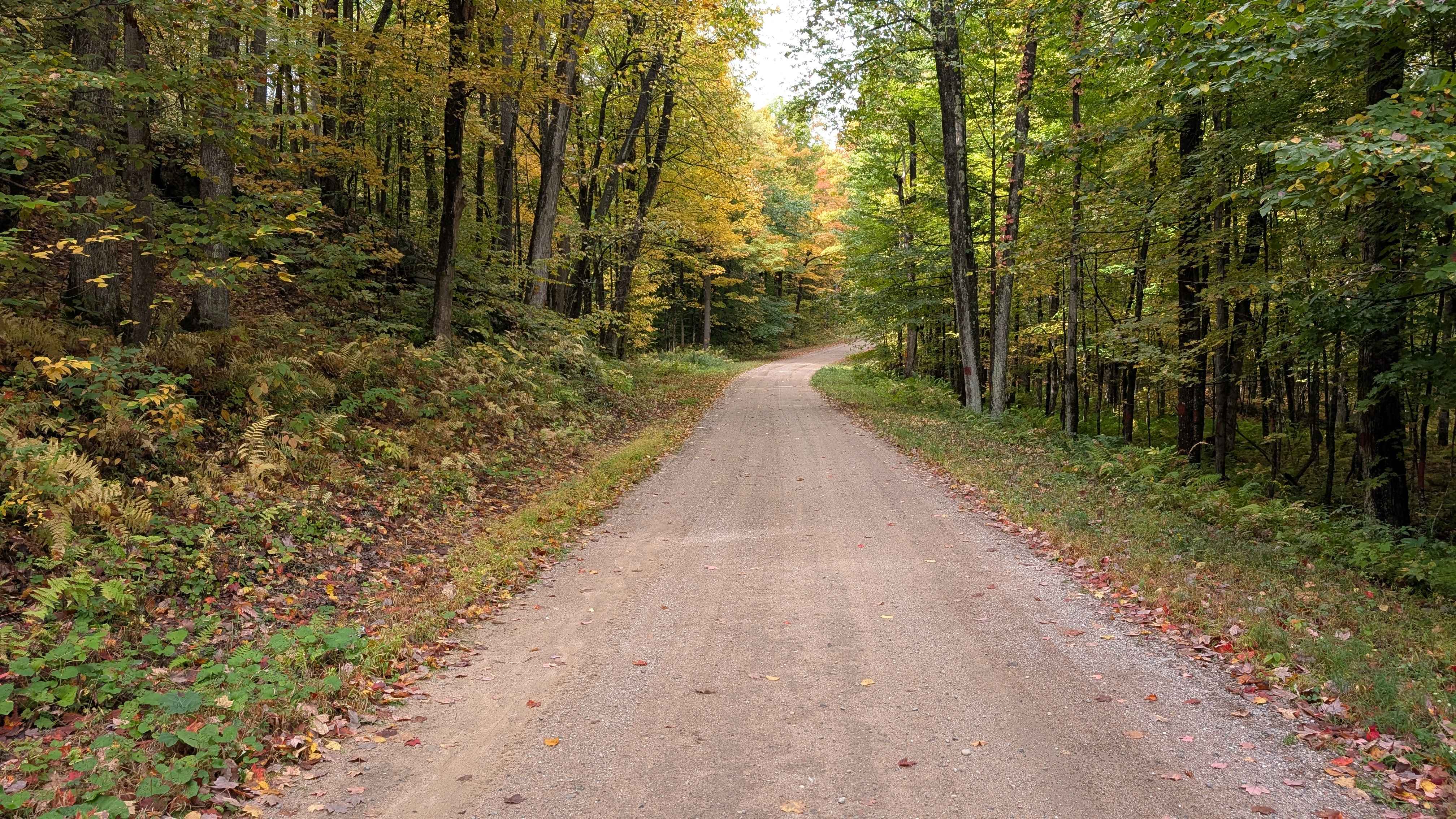 Boyd Pond Access Road