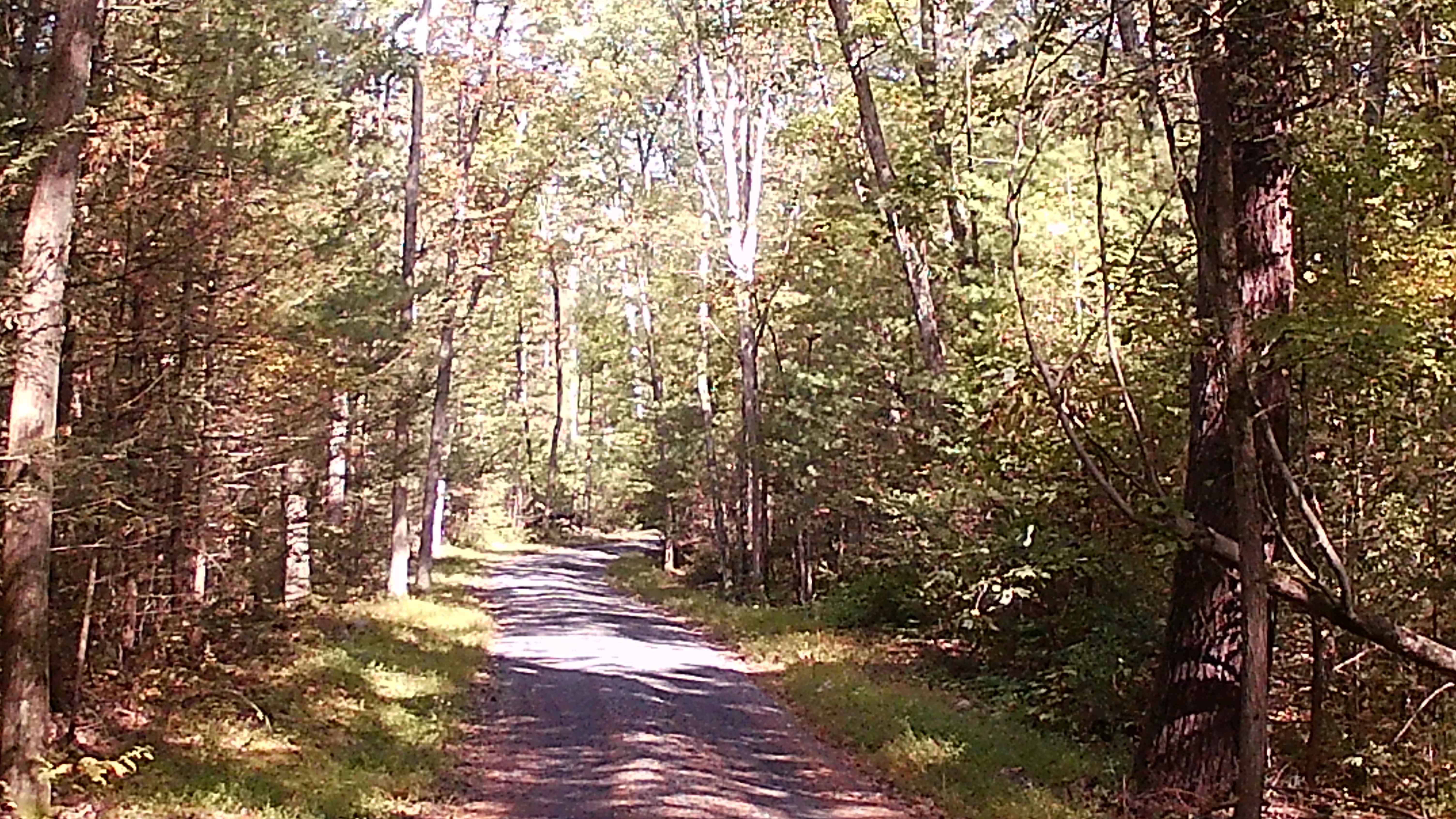Spruce Mountain Road