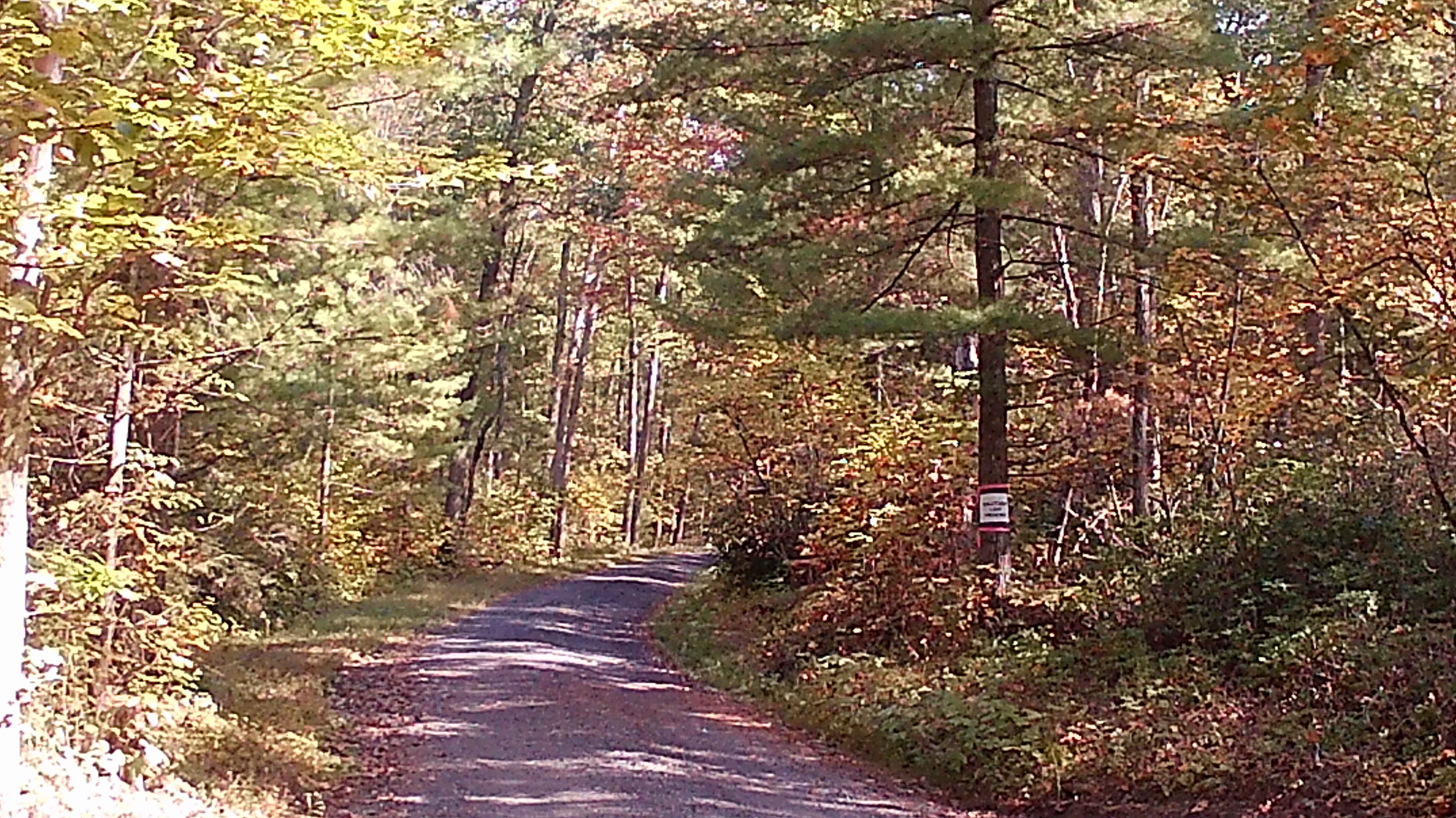 Spruce Mountain Road