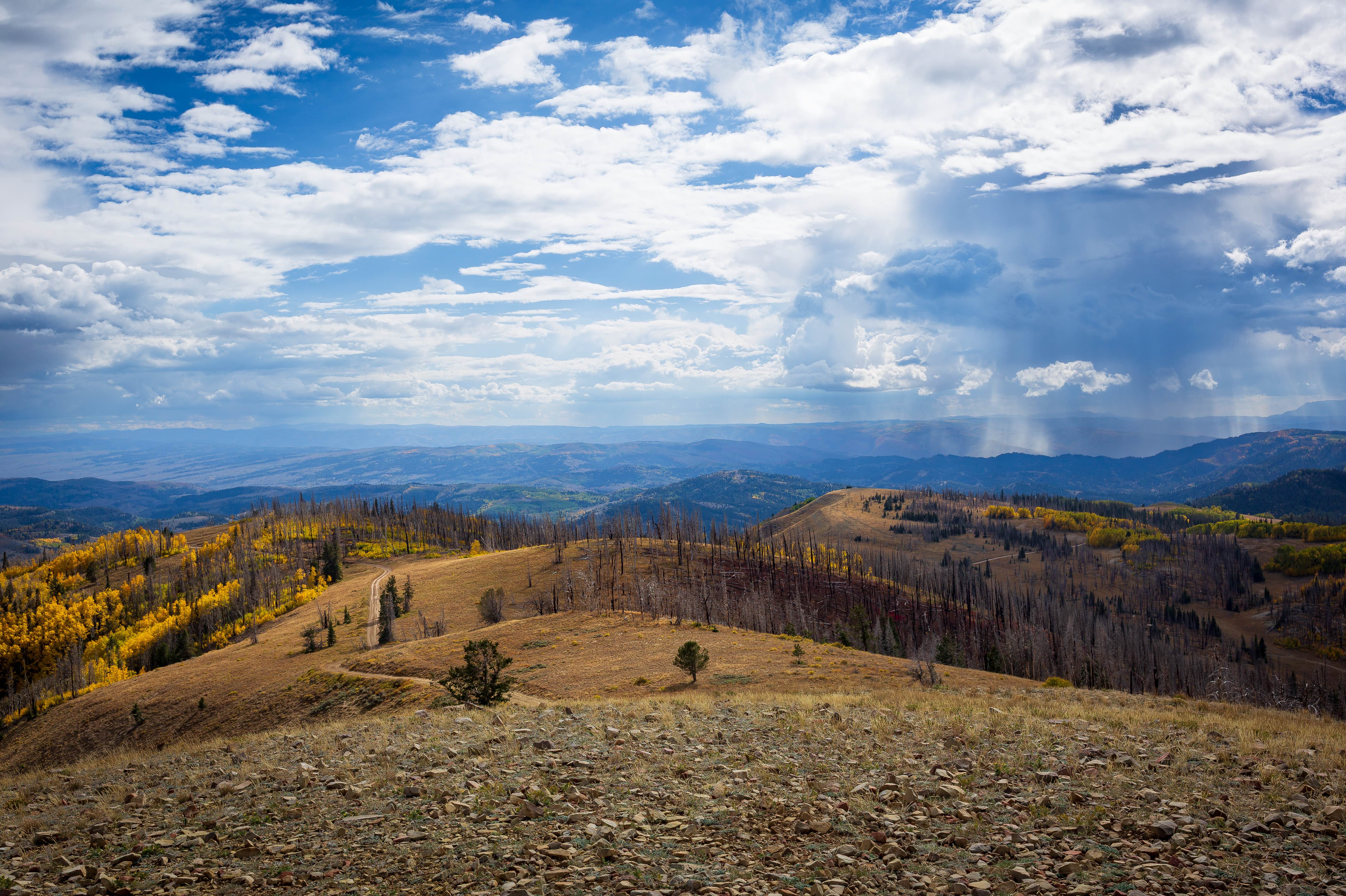 Twelve Hundred Dollar Road - FS 10200