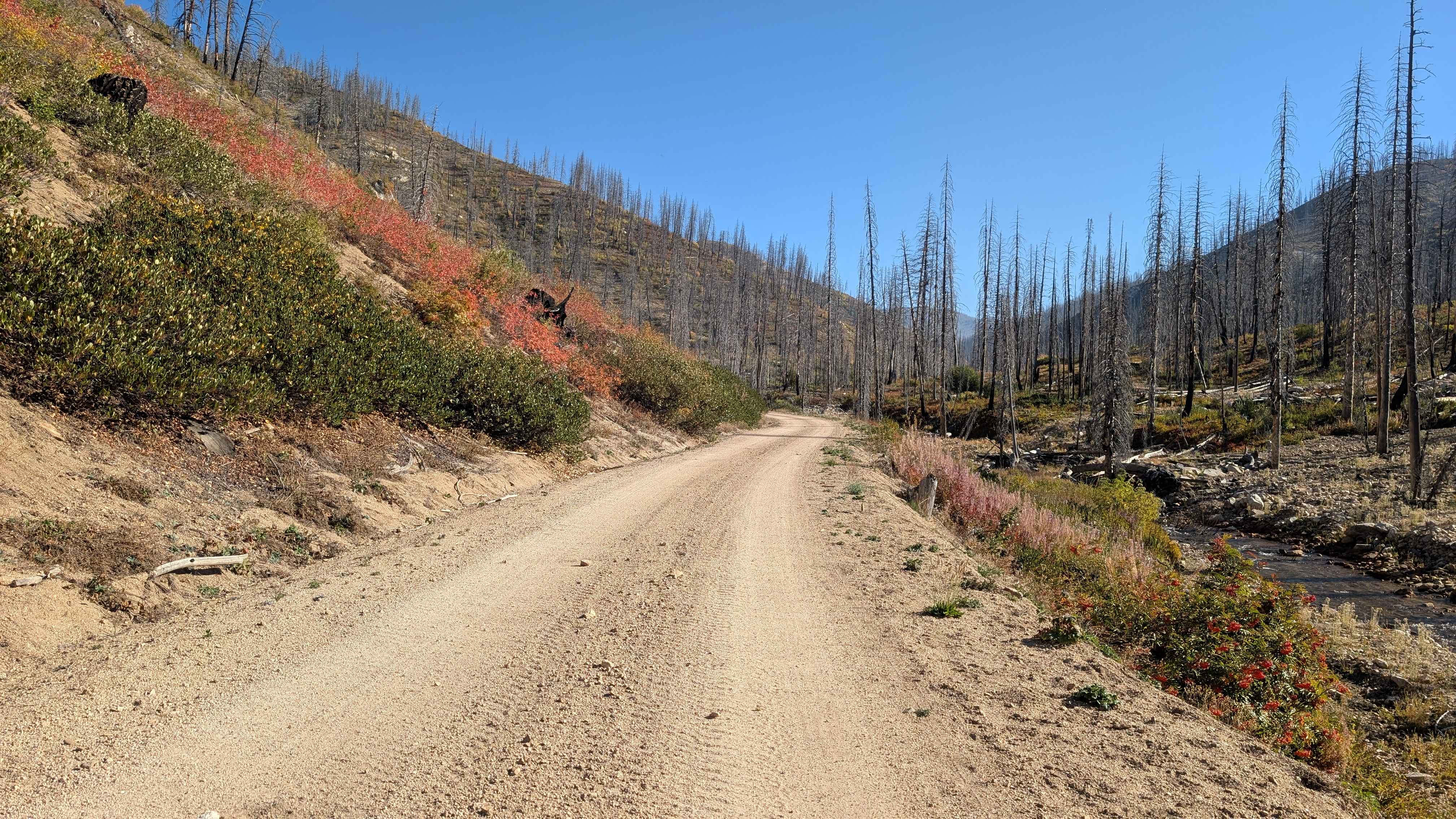 Red Mountain - FS 515