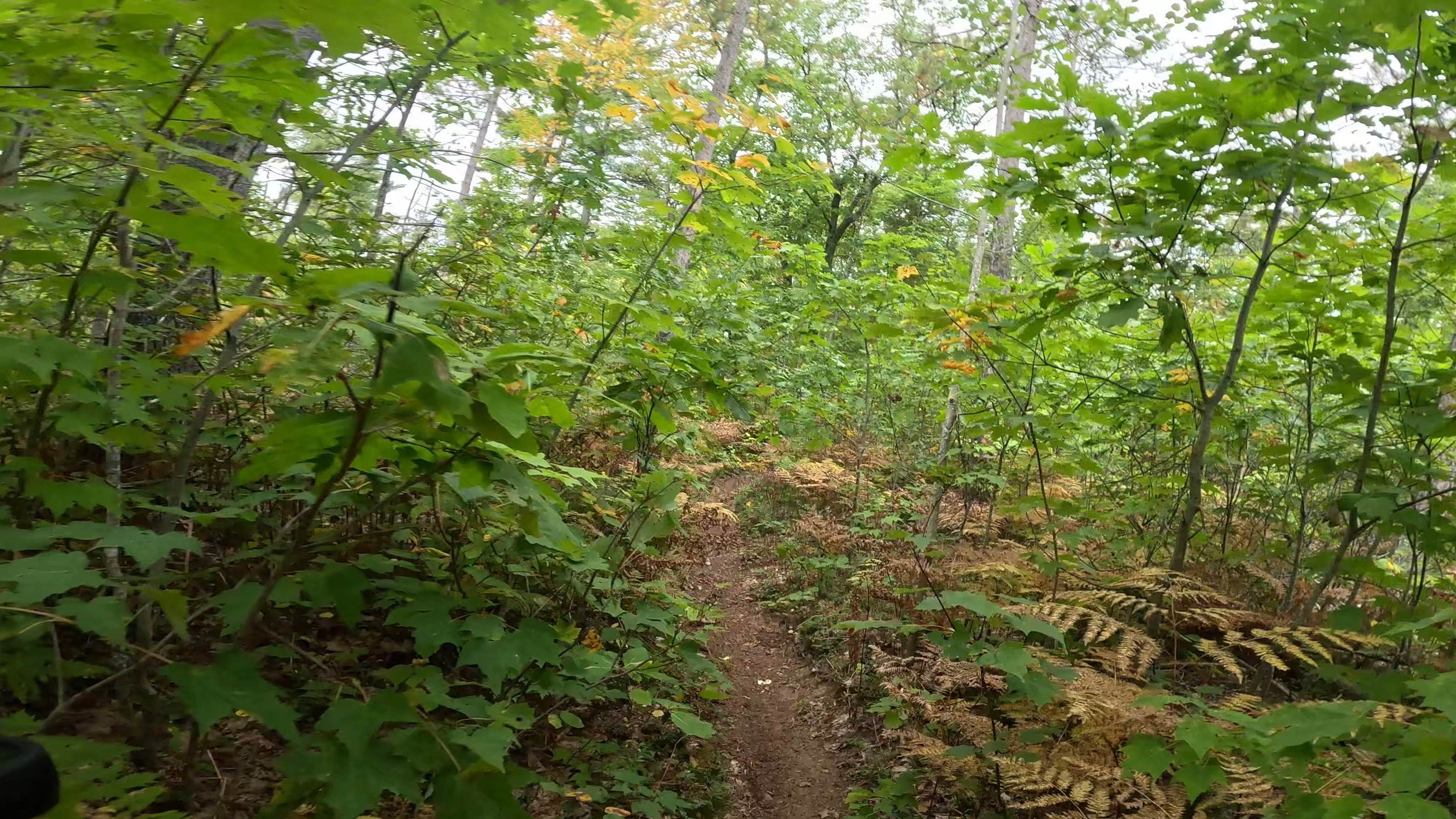 Kincross Motorcycle Trail South/West Loop