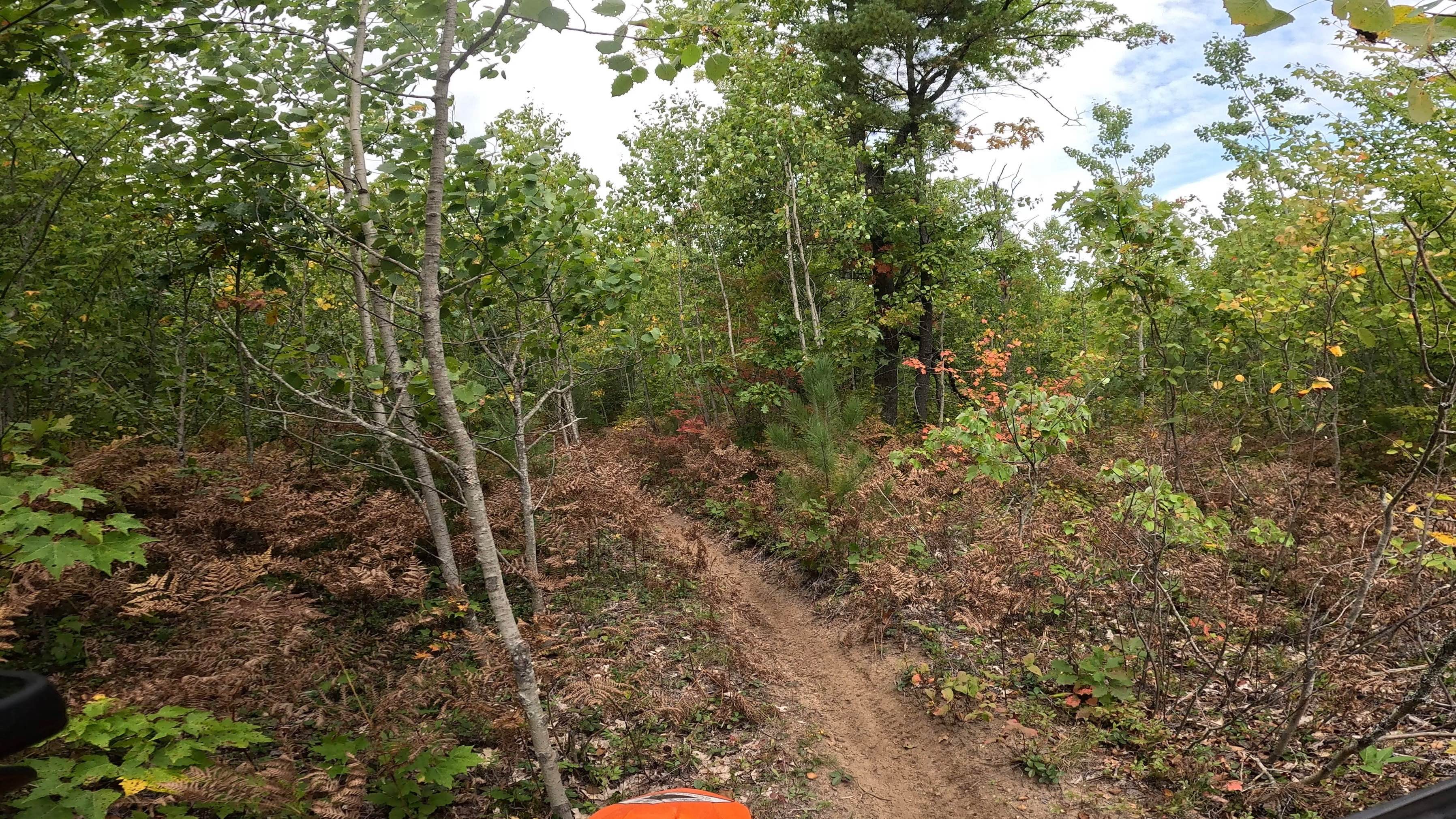 Kincross Motorcycle Trail South/West Loop