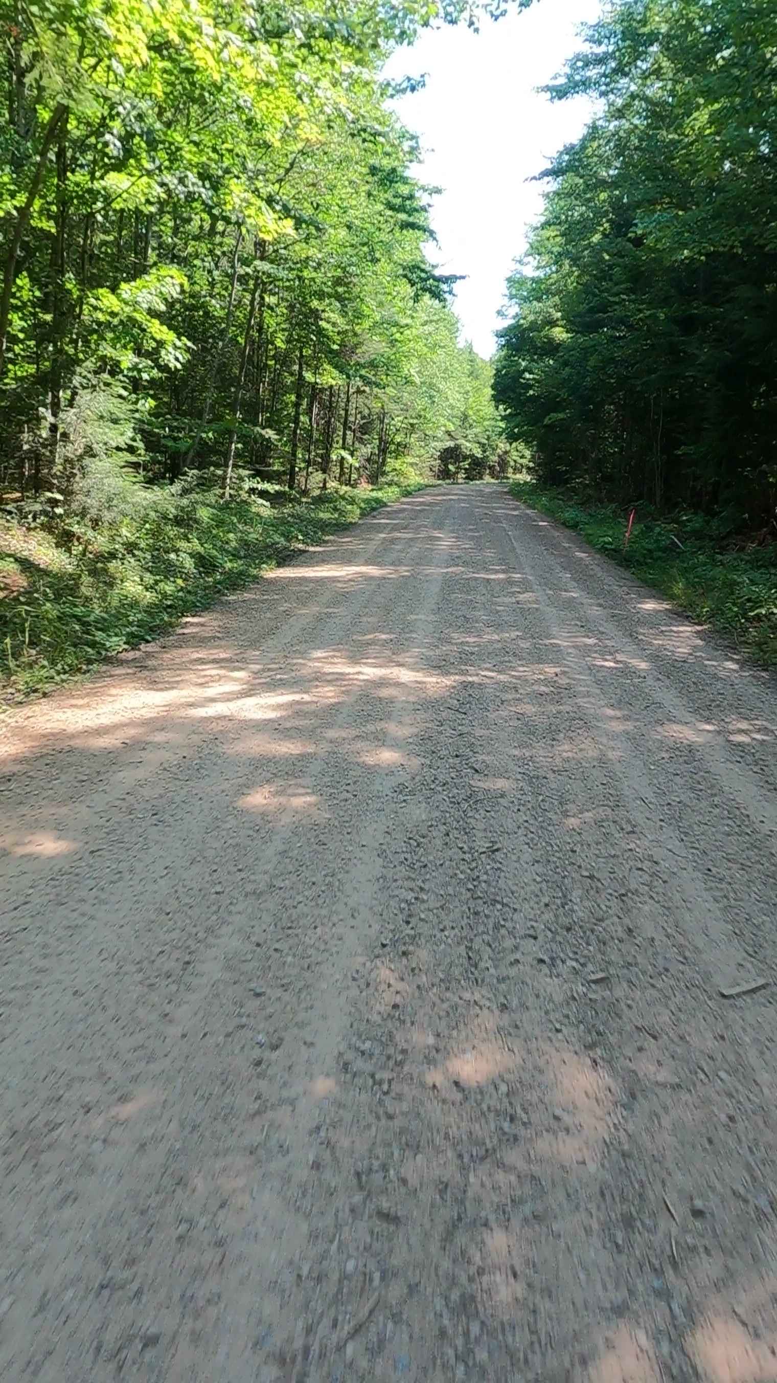 Buck Bay Road - FSR 2272