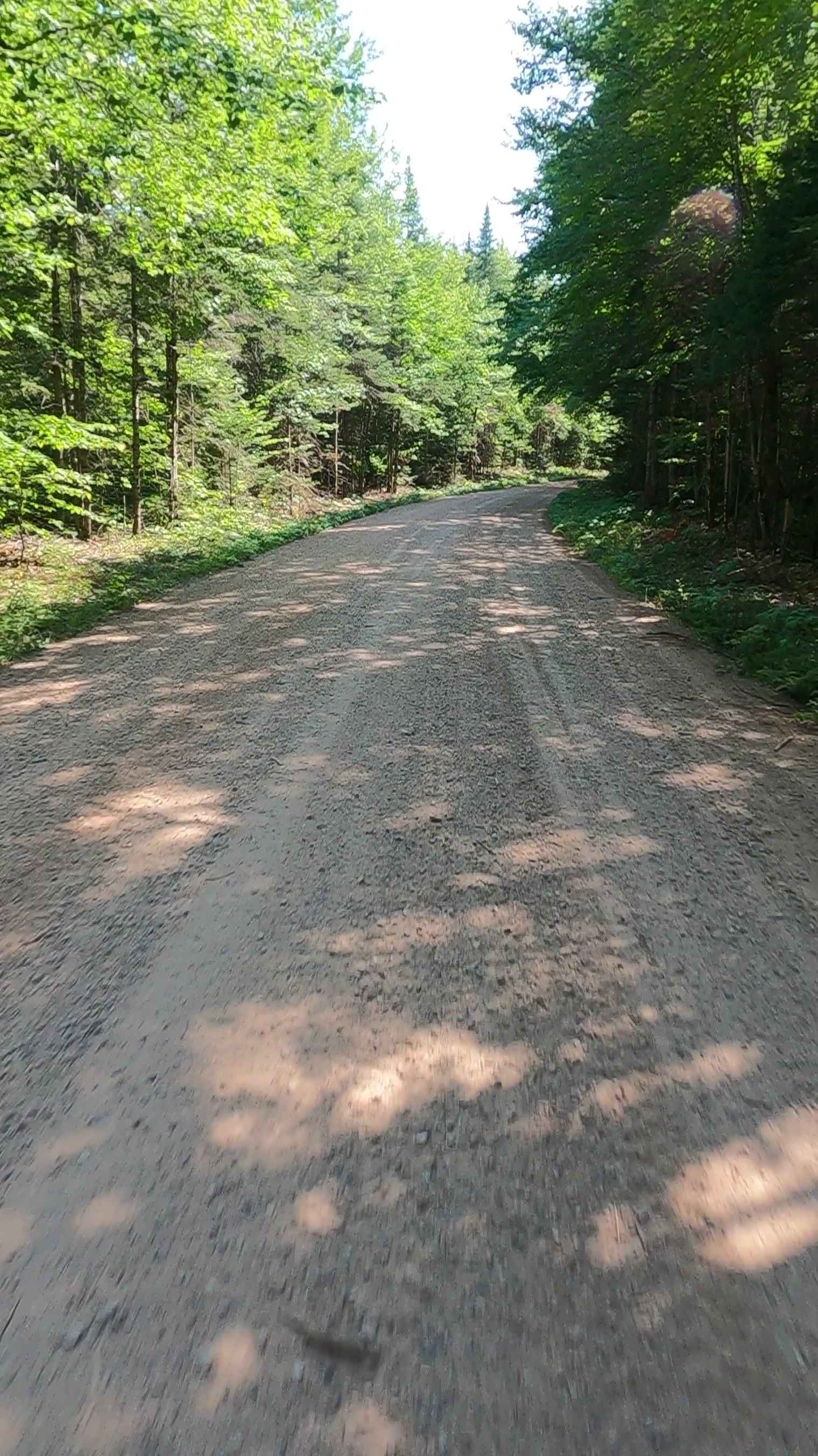 Buck Bay Road - FSR 2272