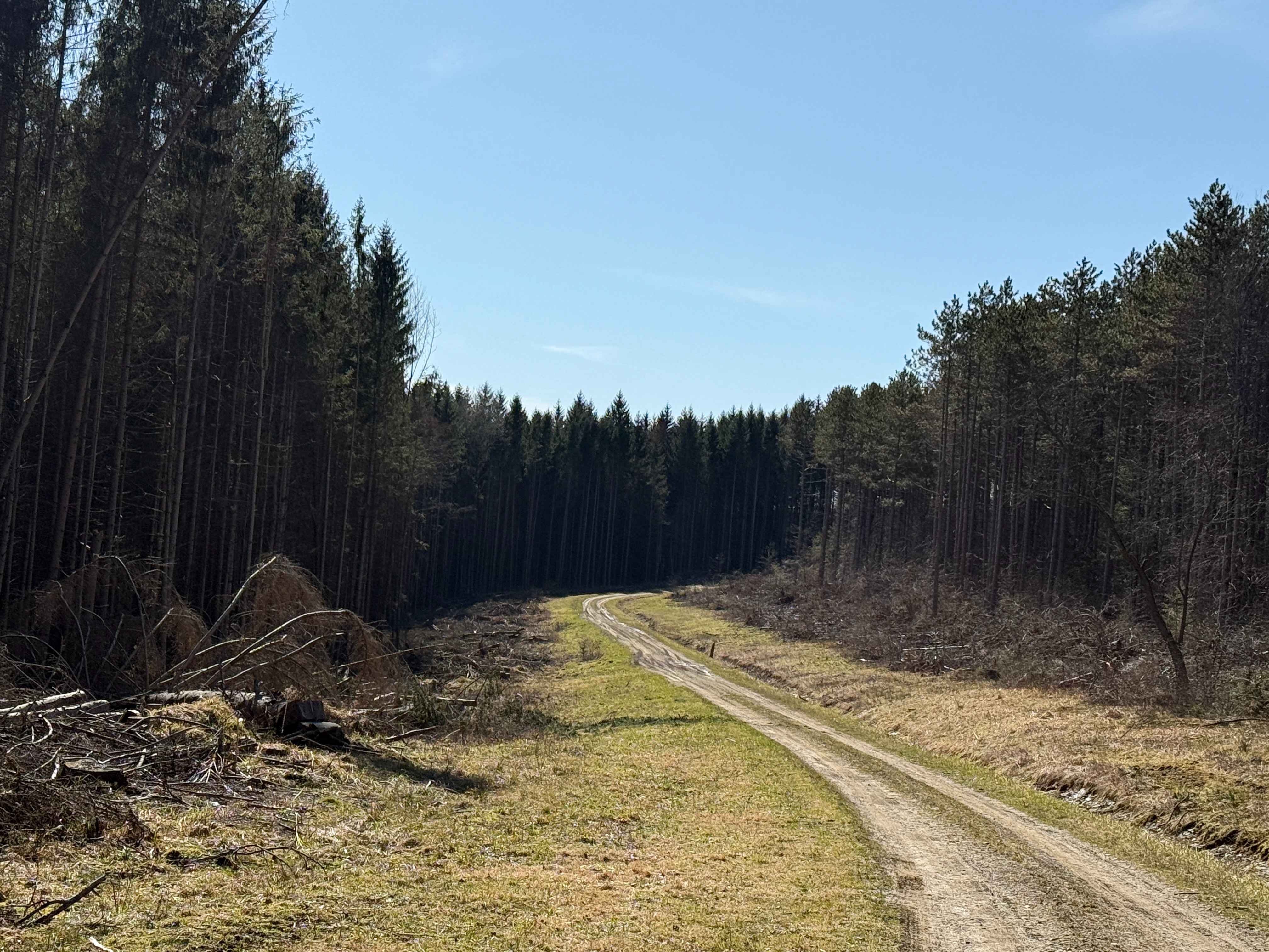 Plumbottom Brown Road