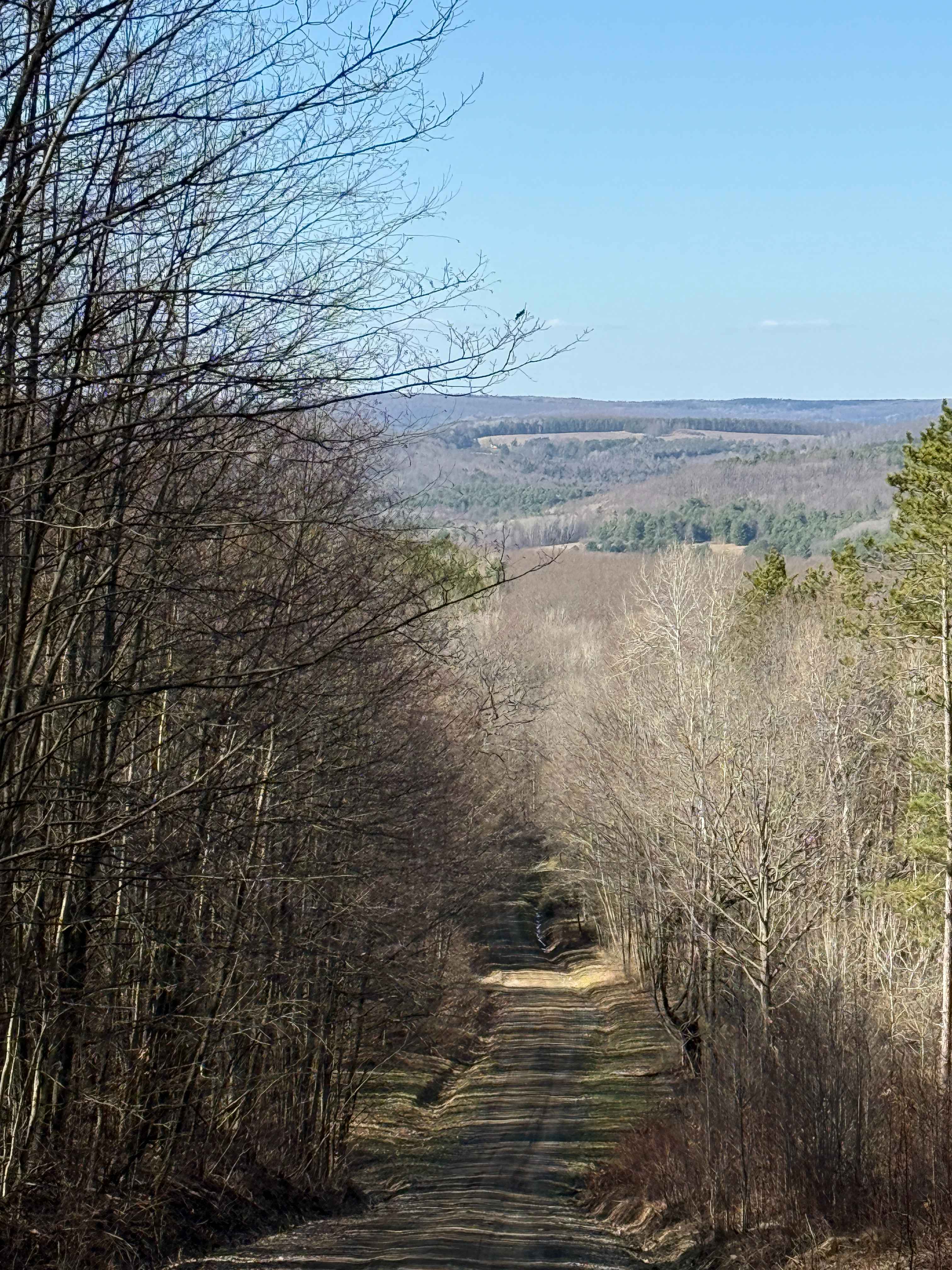 Plumbottom Brown Road