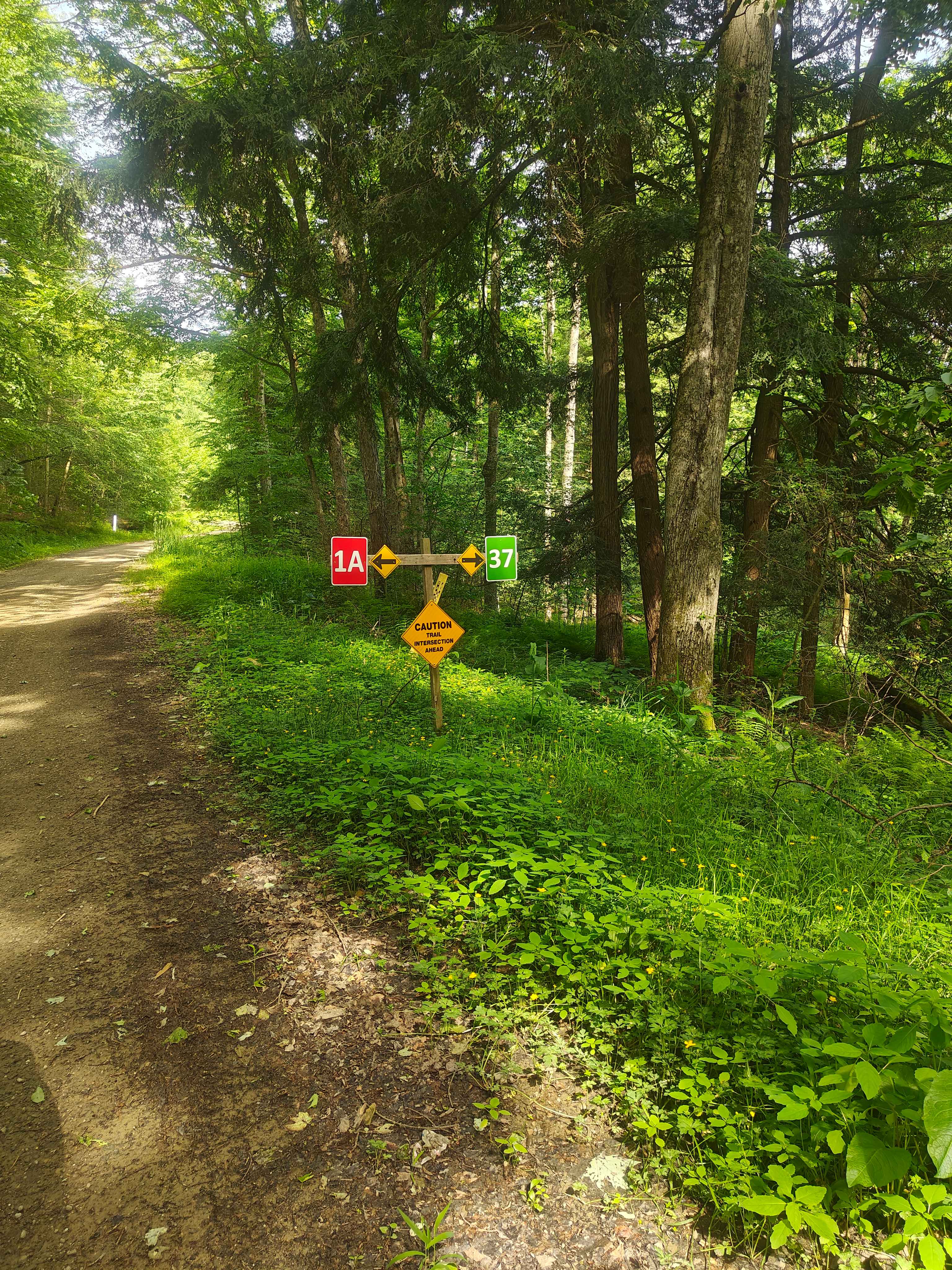 Boatroad Run - FSR 252