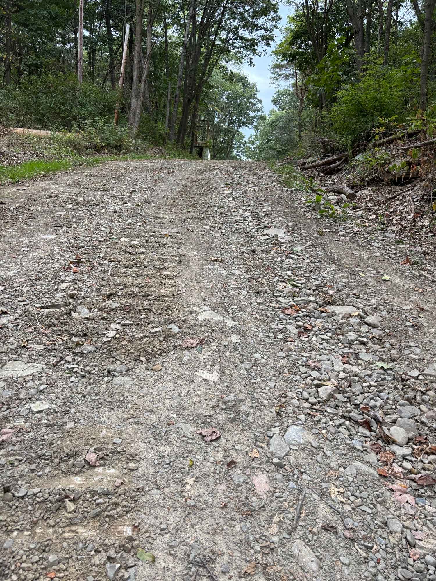 Stephanie Grace Taylor Memorial Drive