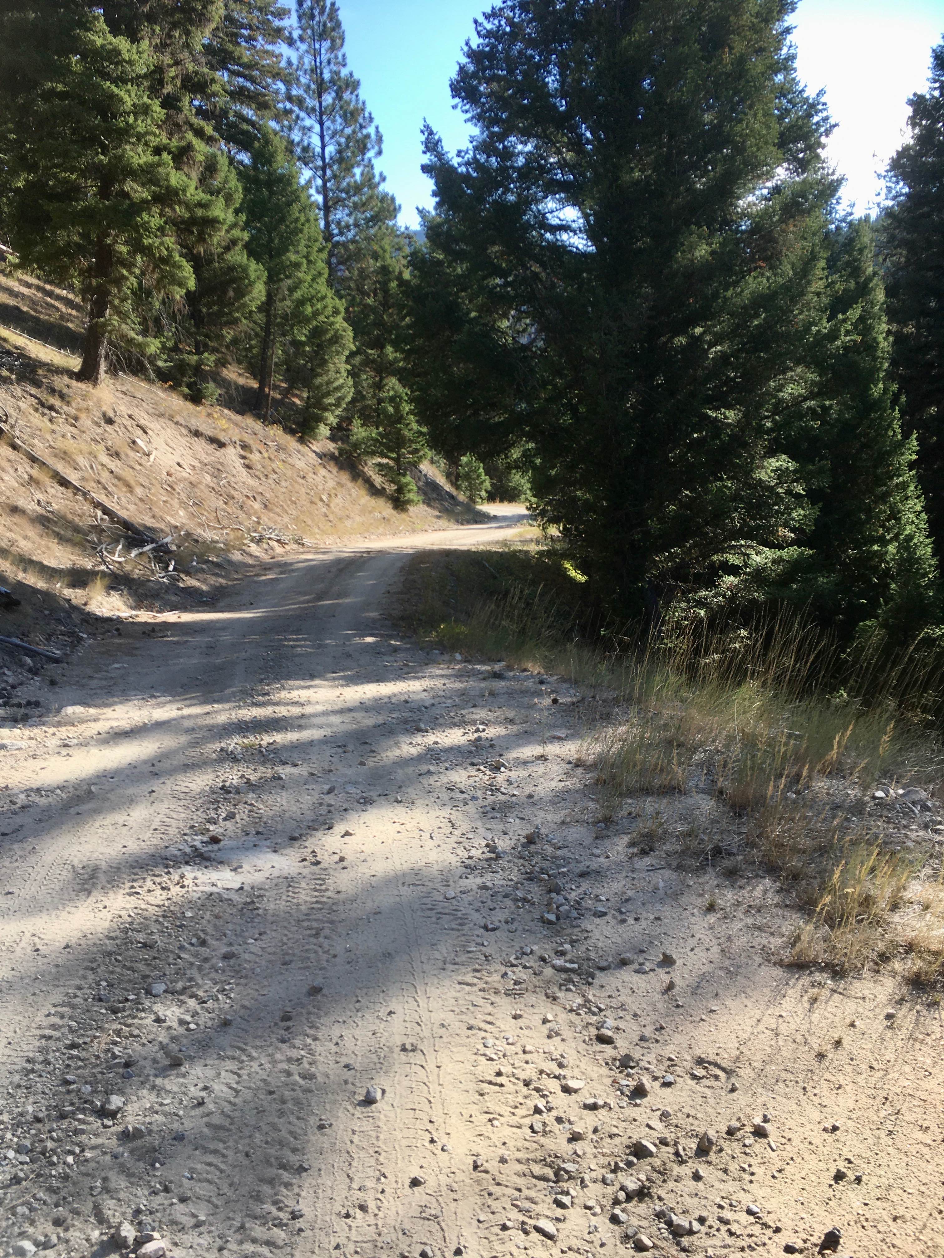 Reynolds Ridge Road - FS 5770