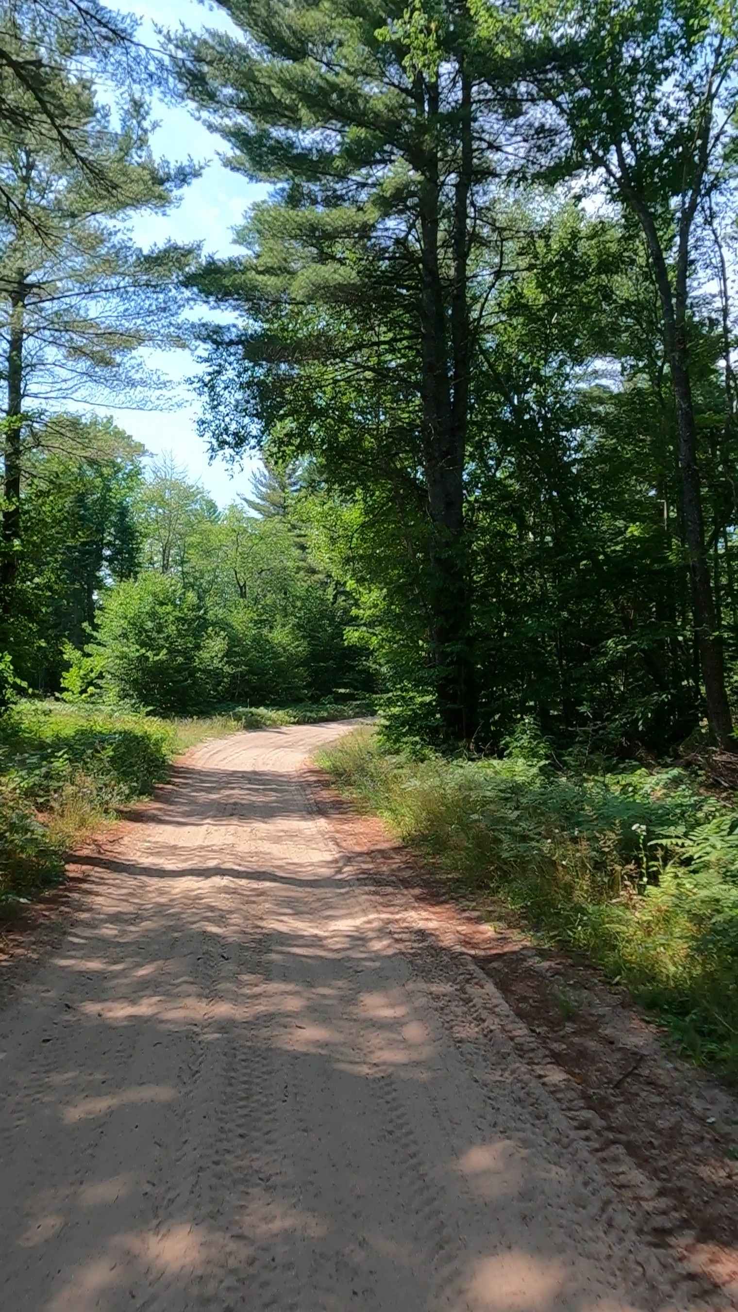 Camp Truck Trail/ Tower Road