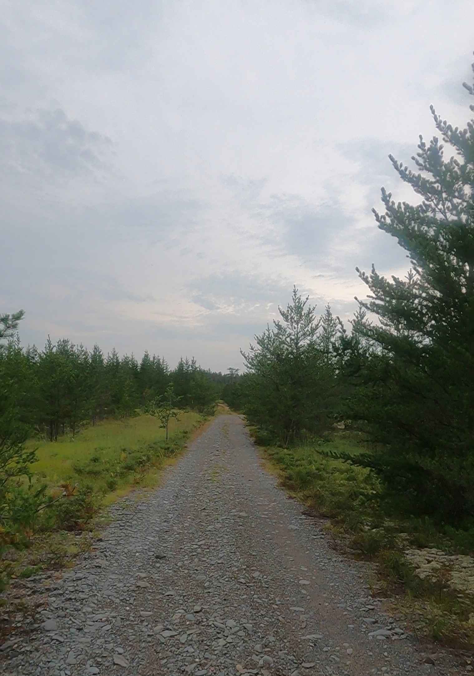 Gorge Cutoff - FDR 2243 Primary