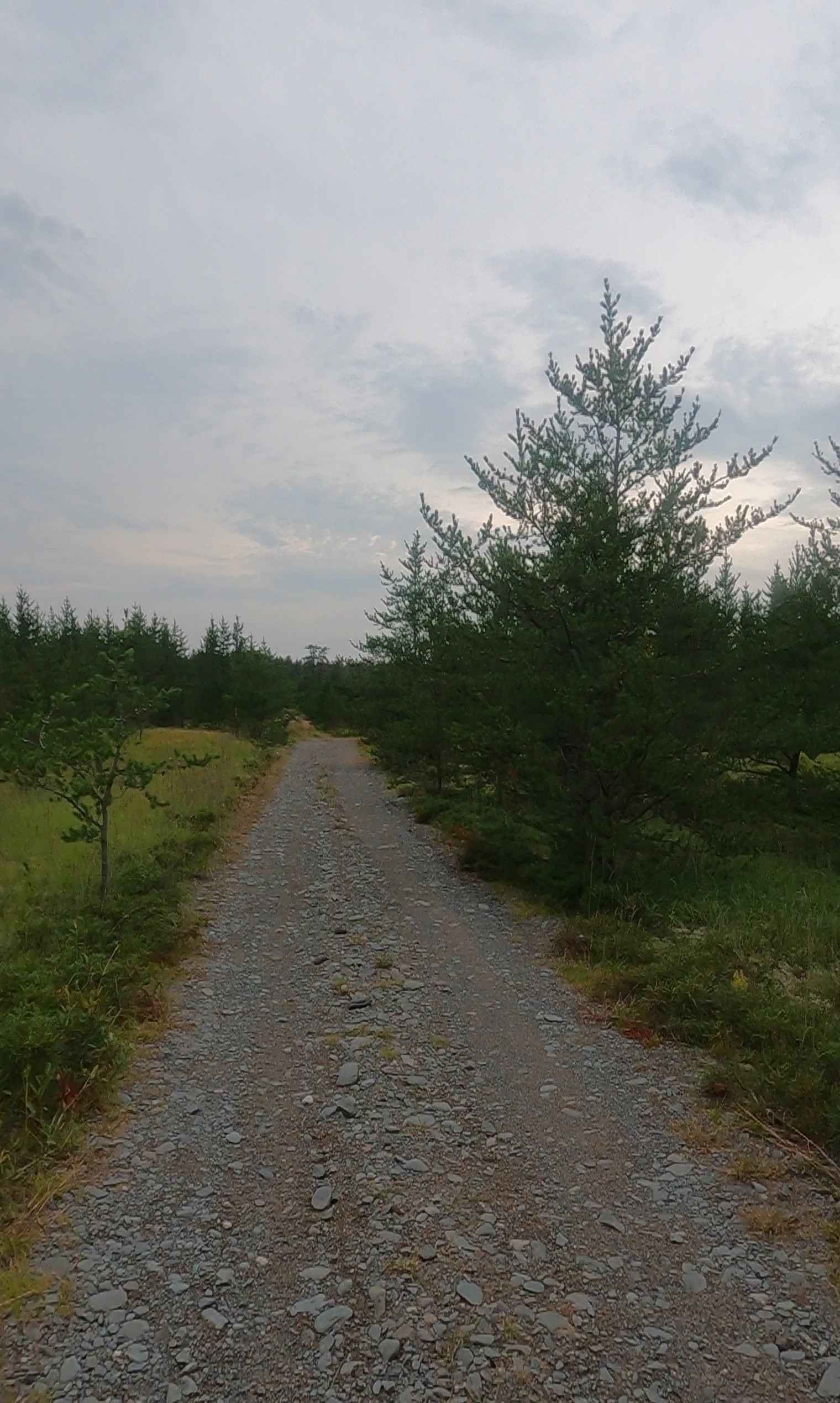 Gorge Cutoff - FDR 2243 Primary