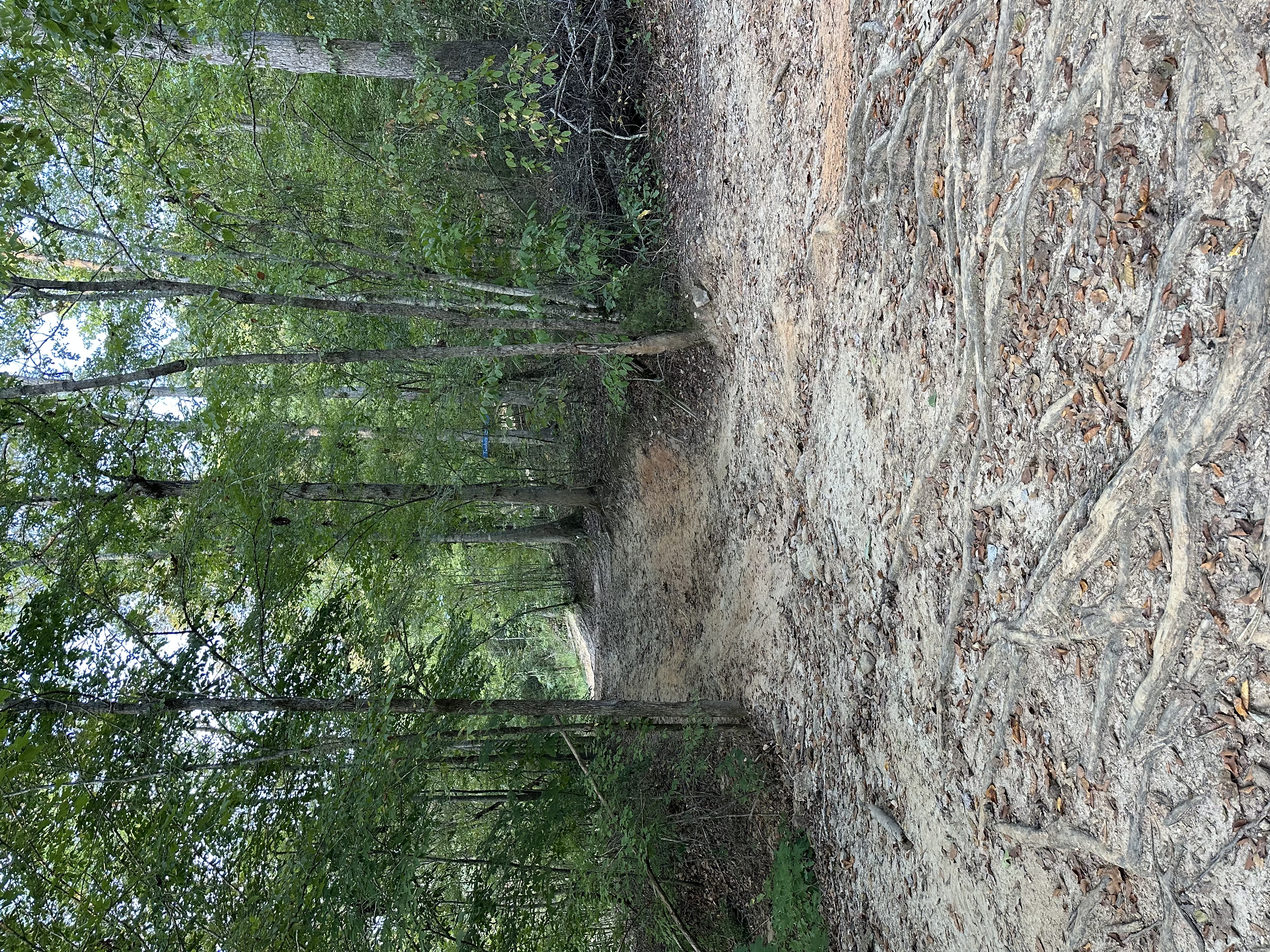 Twisters Sister Access