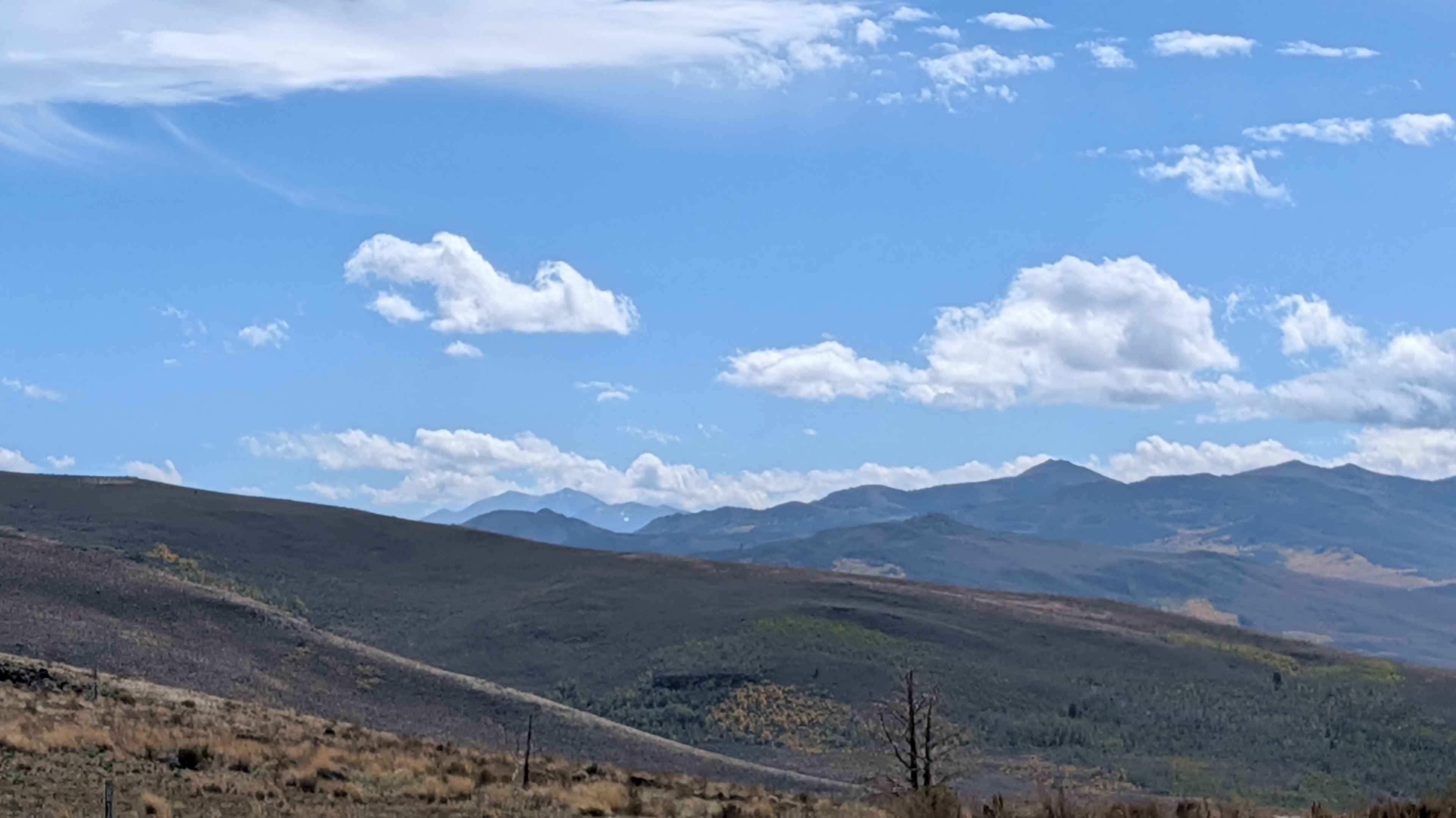 Burcham Flat Road South