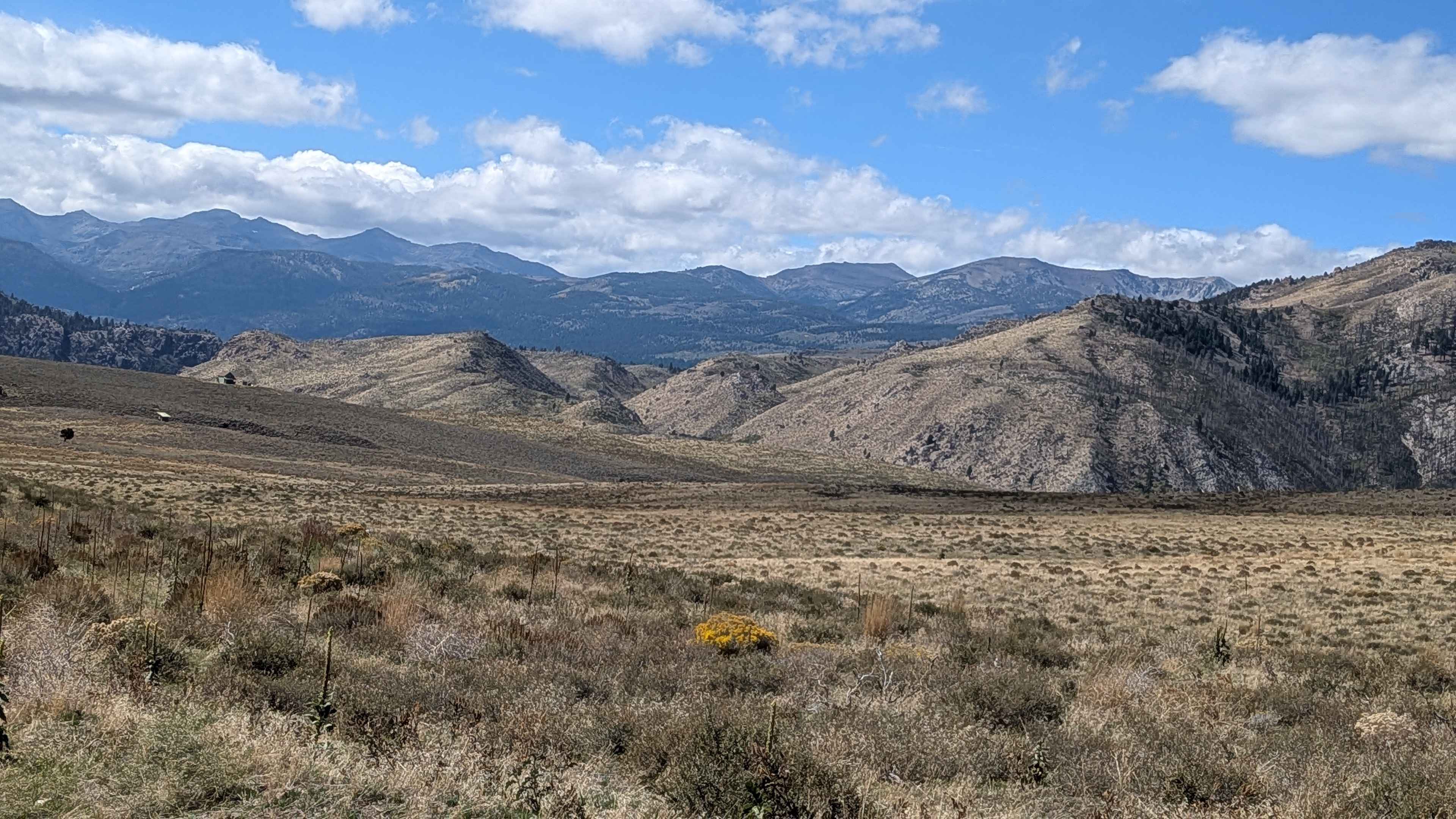 Burcham Flat Road South