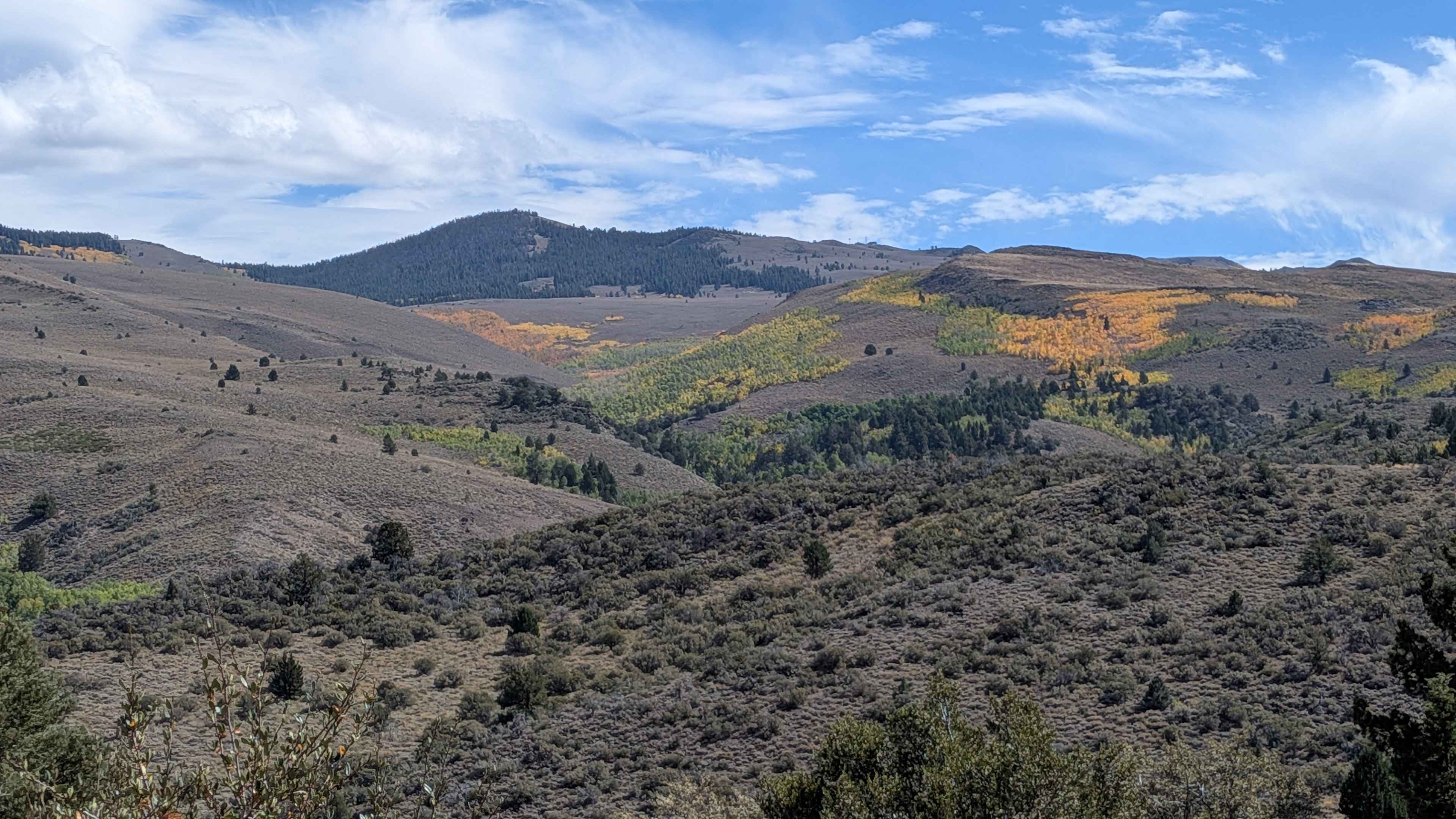 Burcham Flat Road North