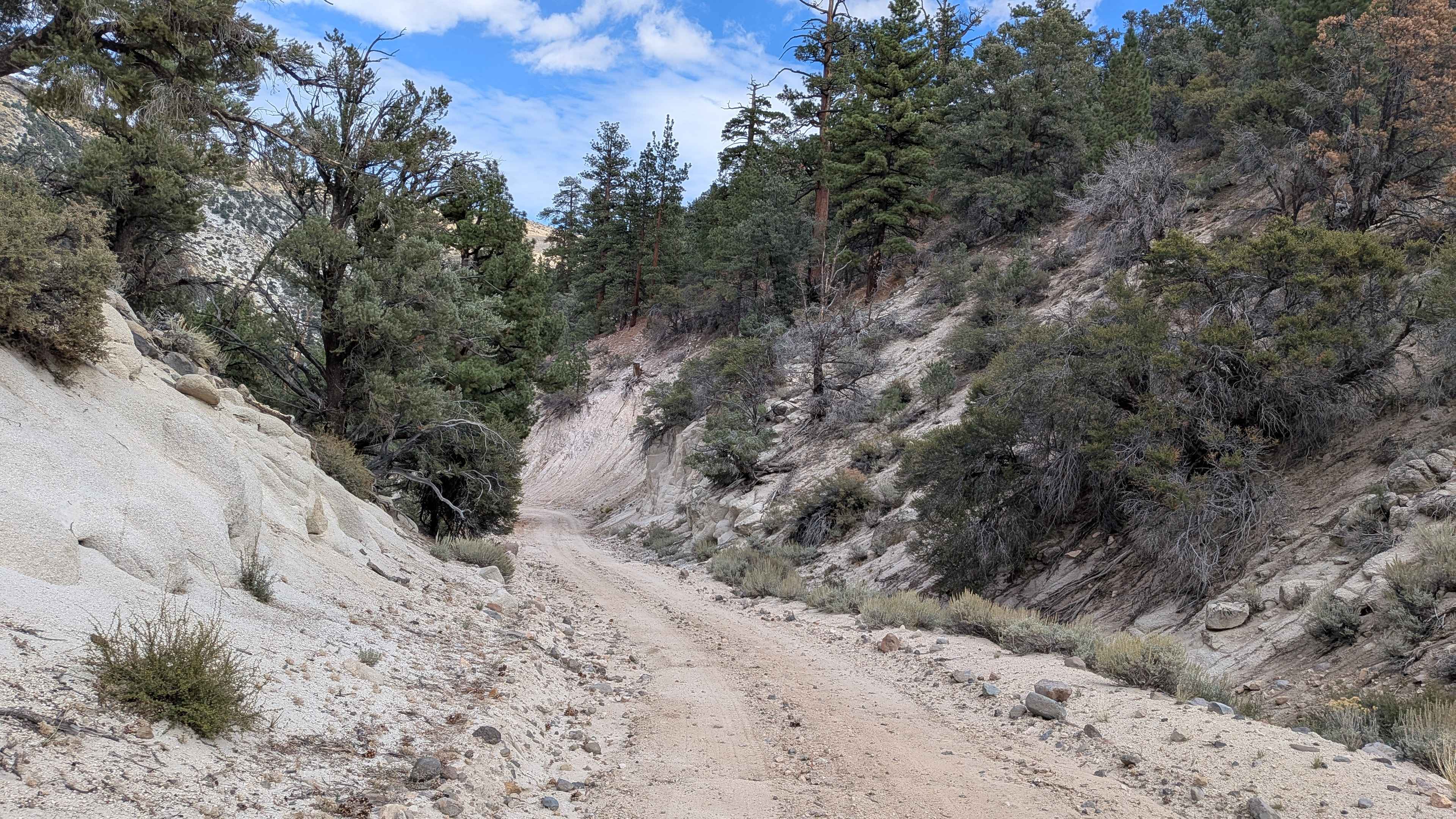 Burcham Flat Road North