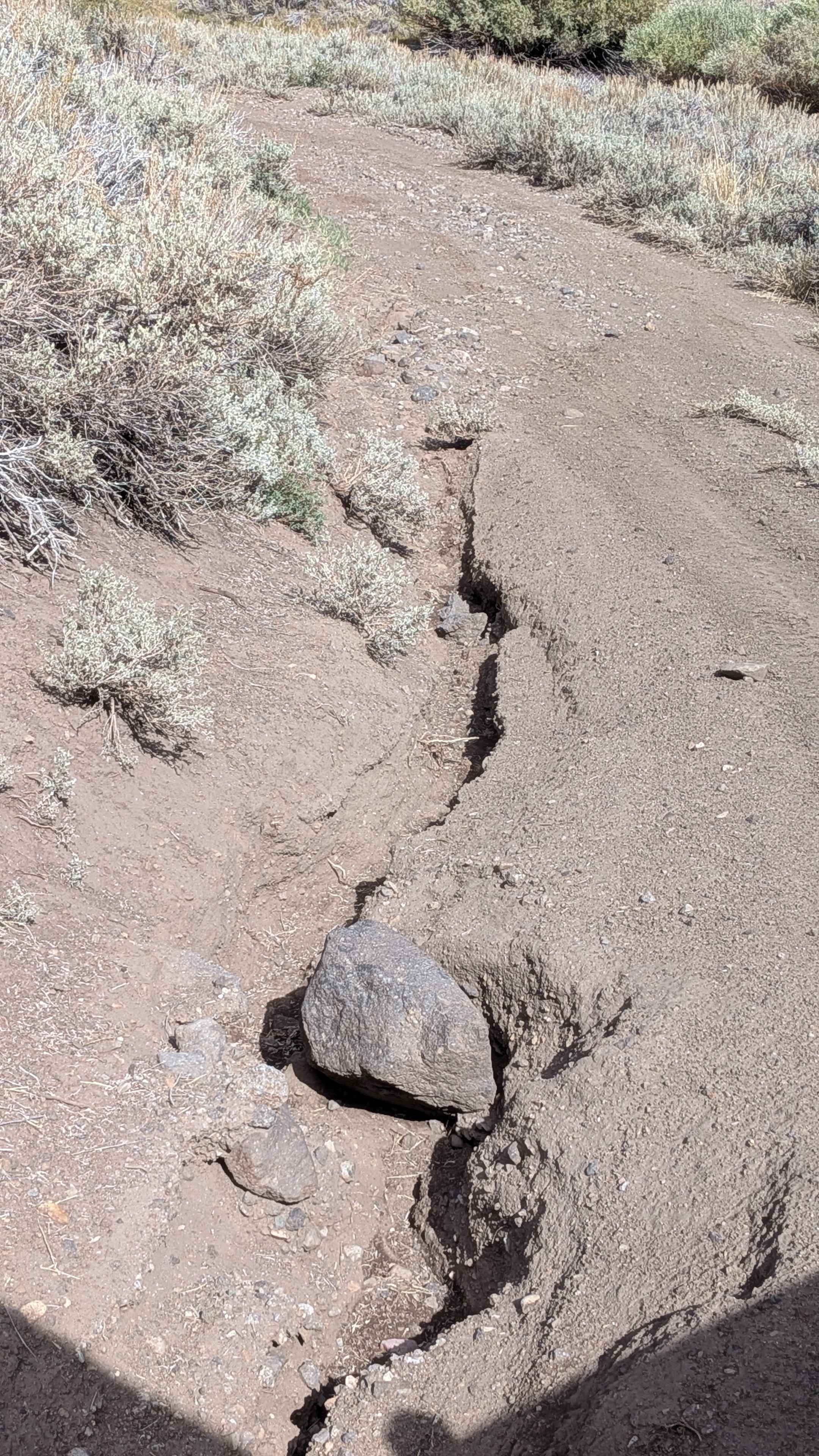 Cottonwood Meadows Road - FS 32106