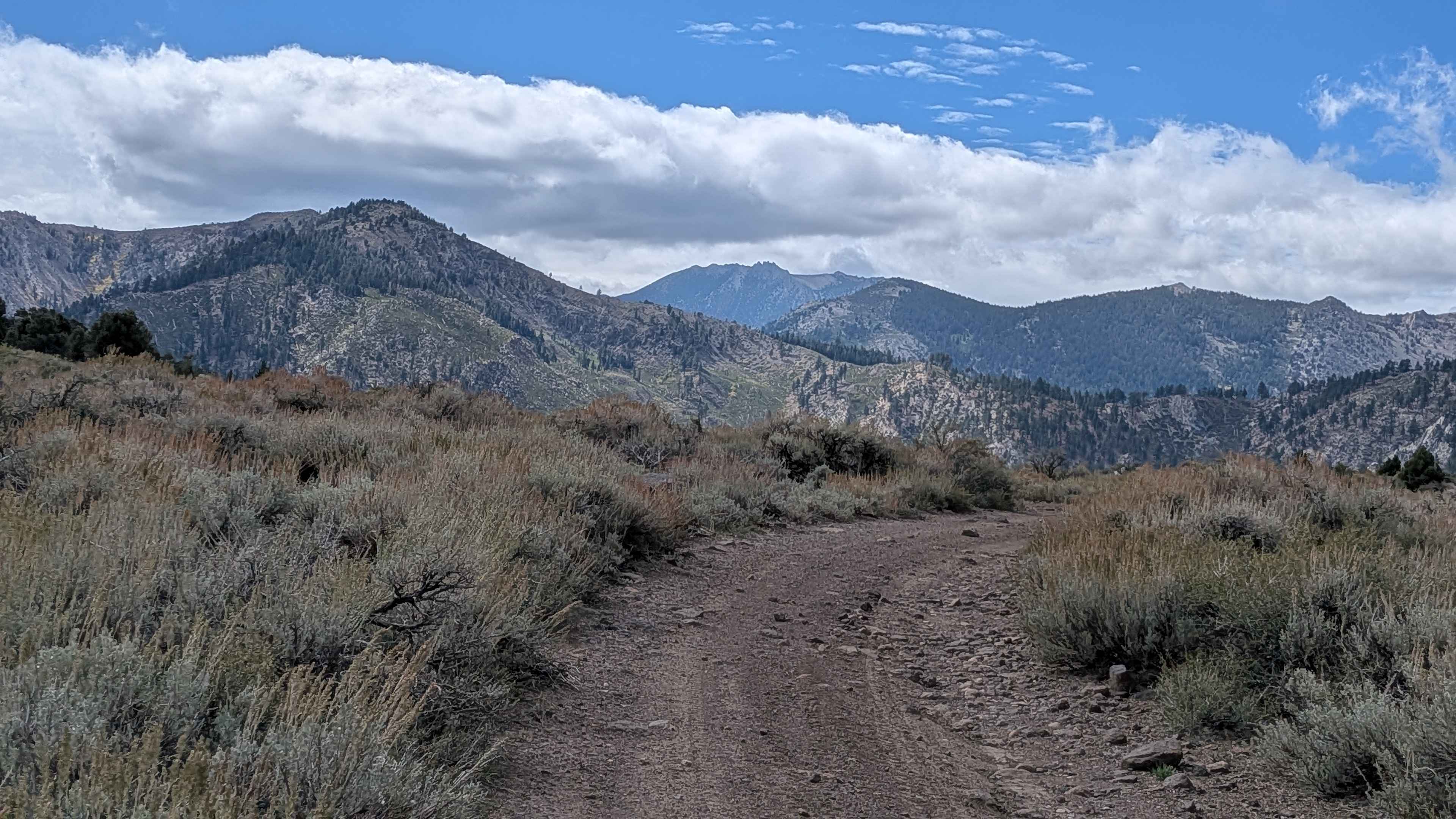 Cottonwood Meadows Road - FS 32106