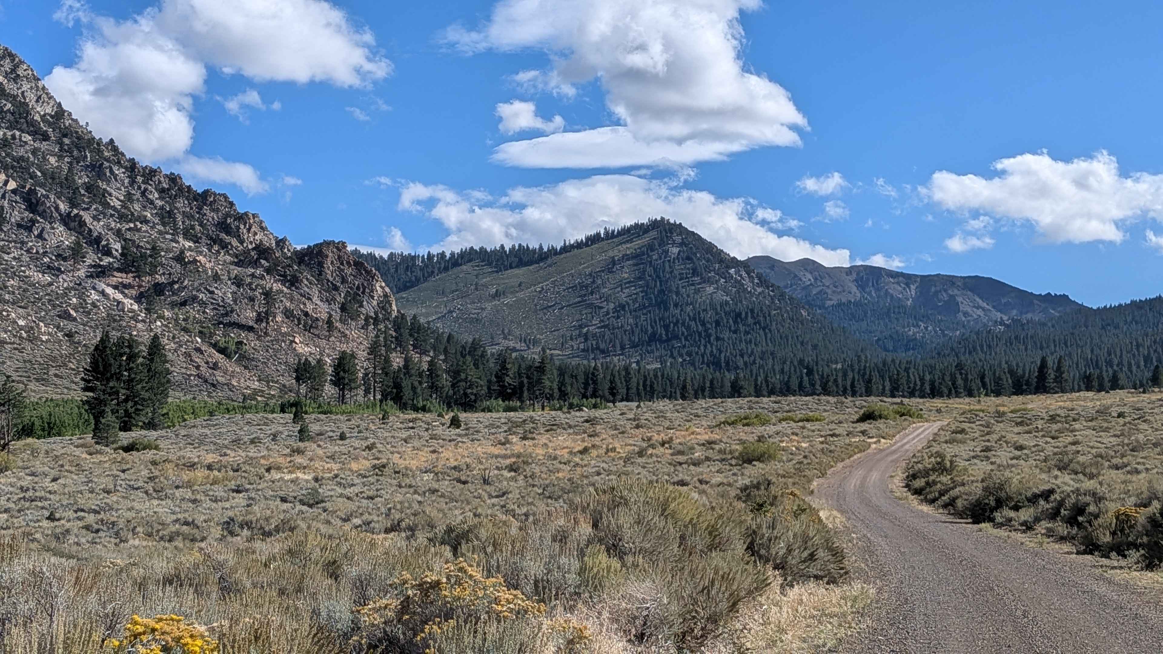 Mill Canyon Road
