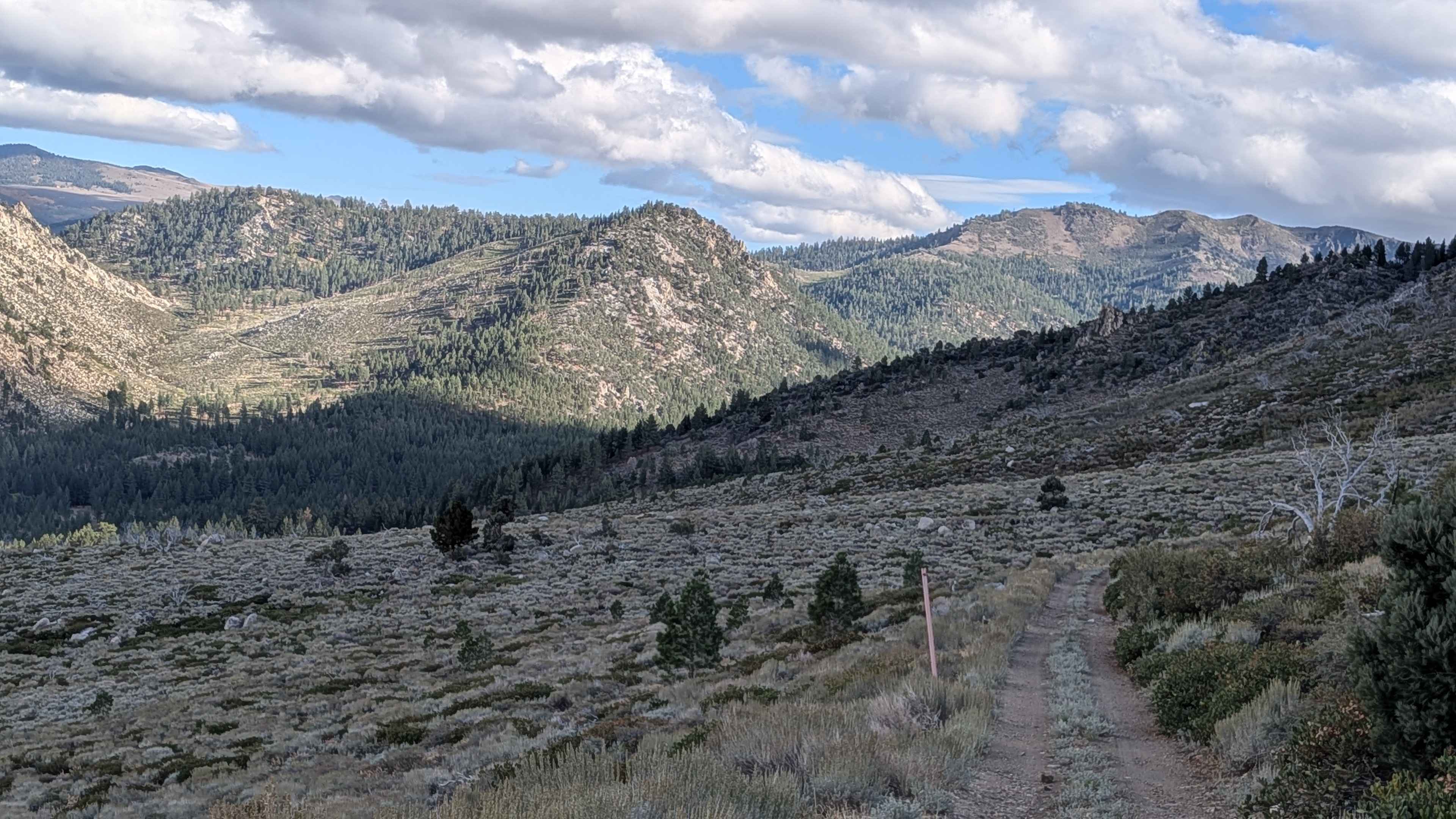 Lost Cannon Creek - FS 32212