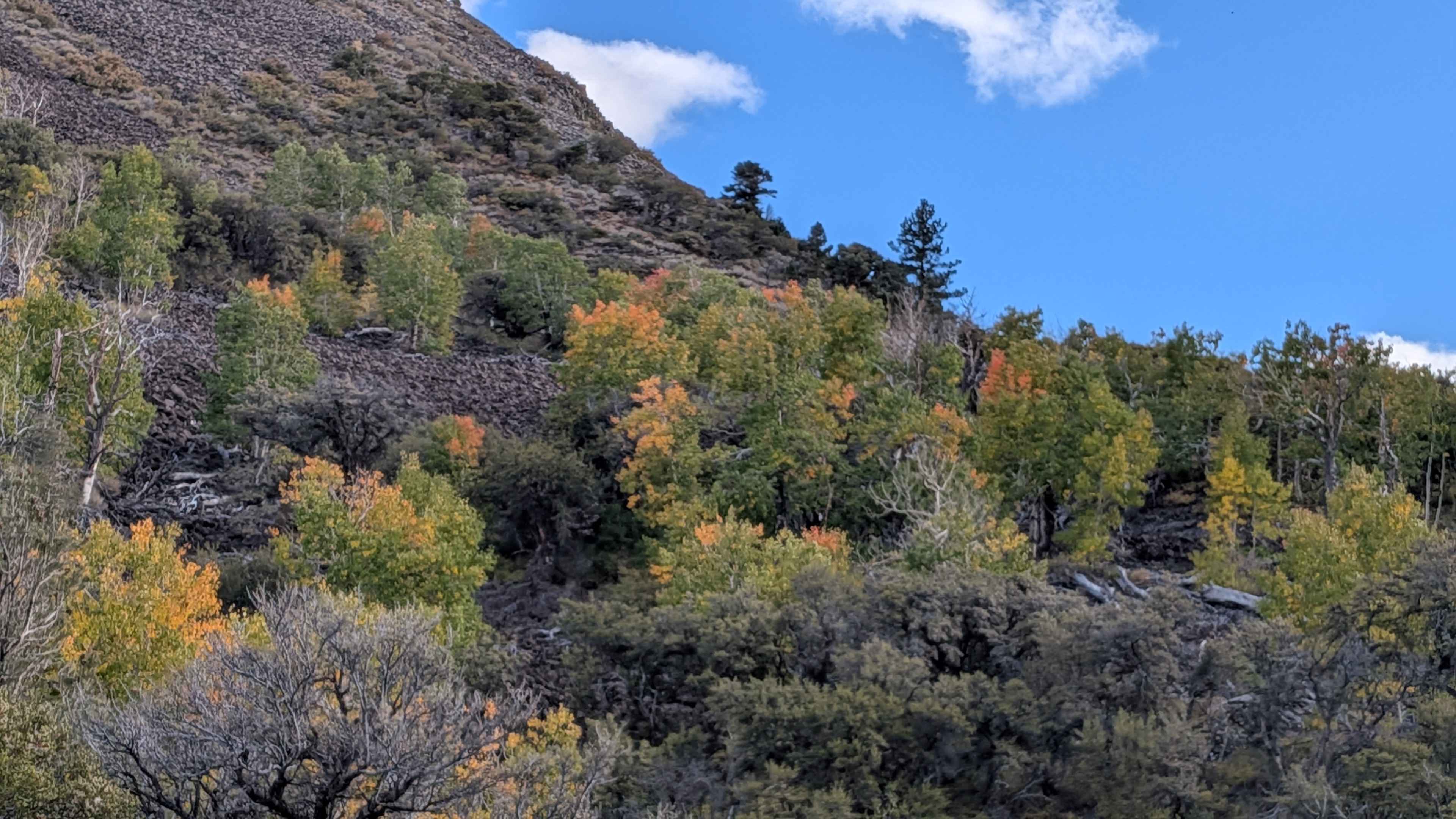 Lost Cannon Creek - FS 32212