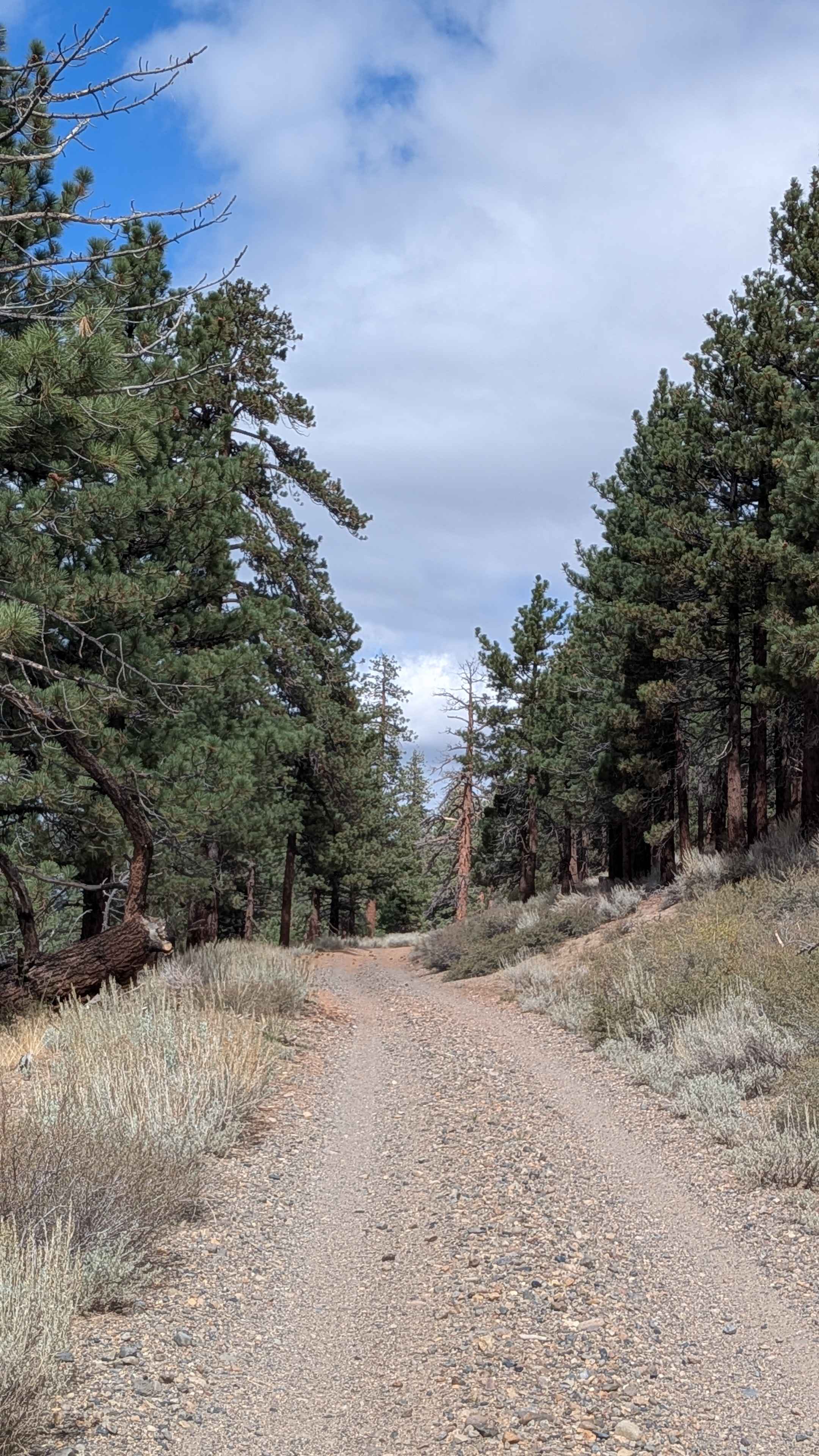 Antelope Cutoff - FS 3S13