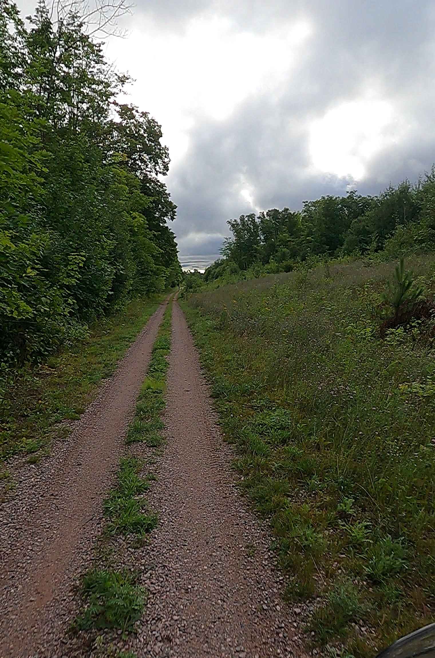 Cleveland Cliff- Empire Mines Trackway