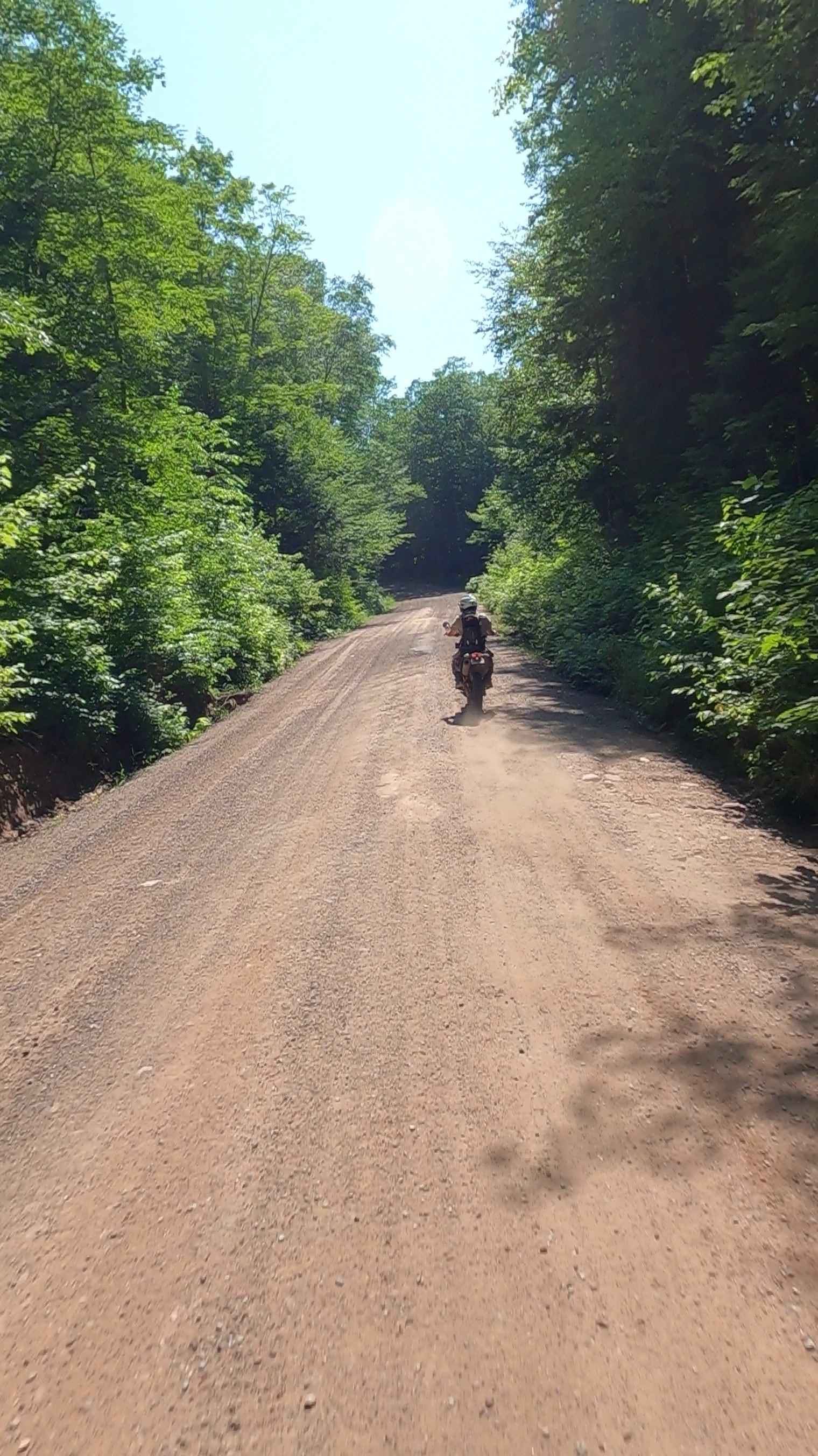 Nelligan Lake - Craig Lake Road