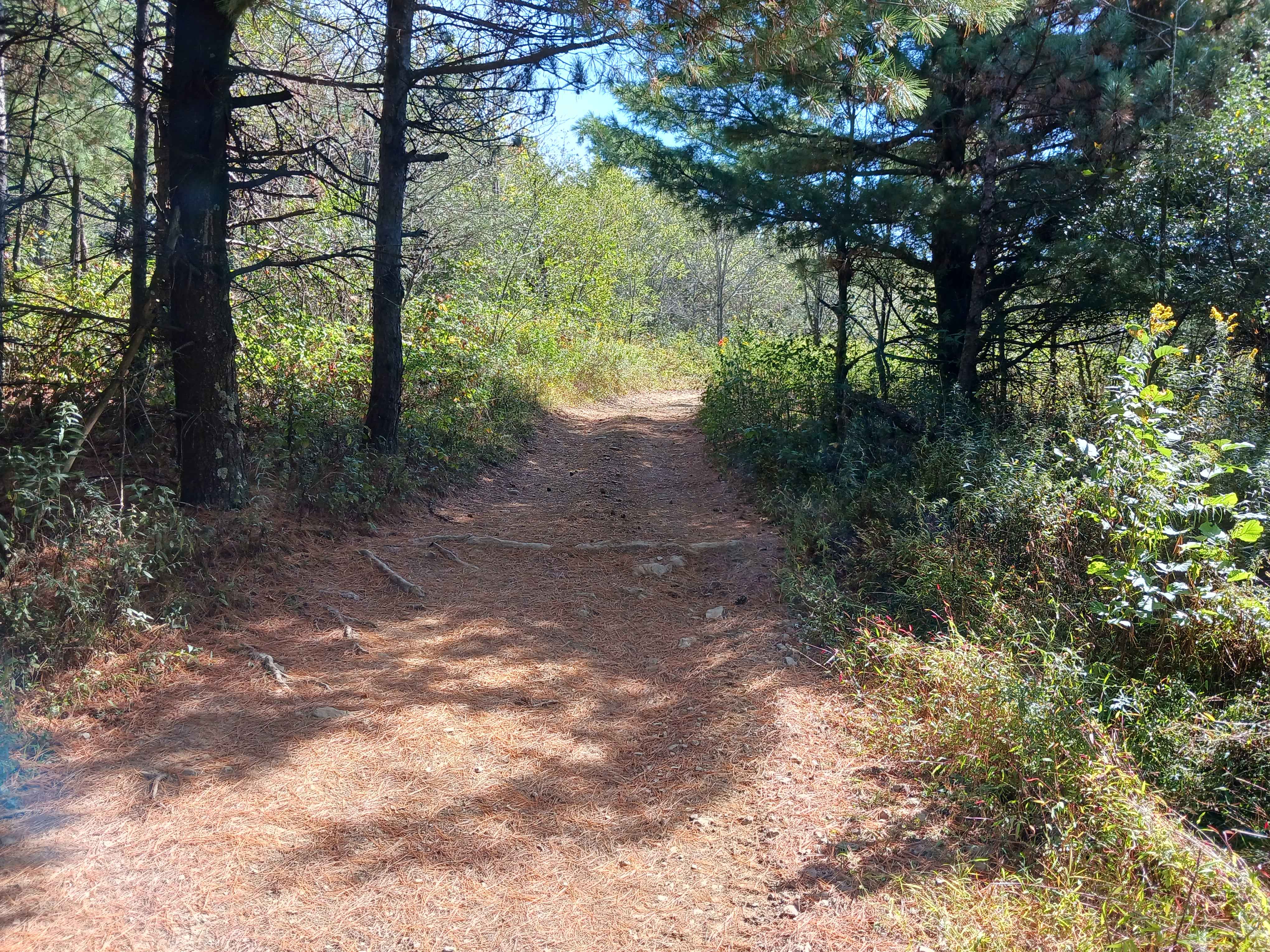 Trail 5D - Rock Run Recreation Area