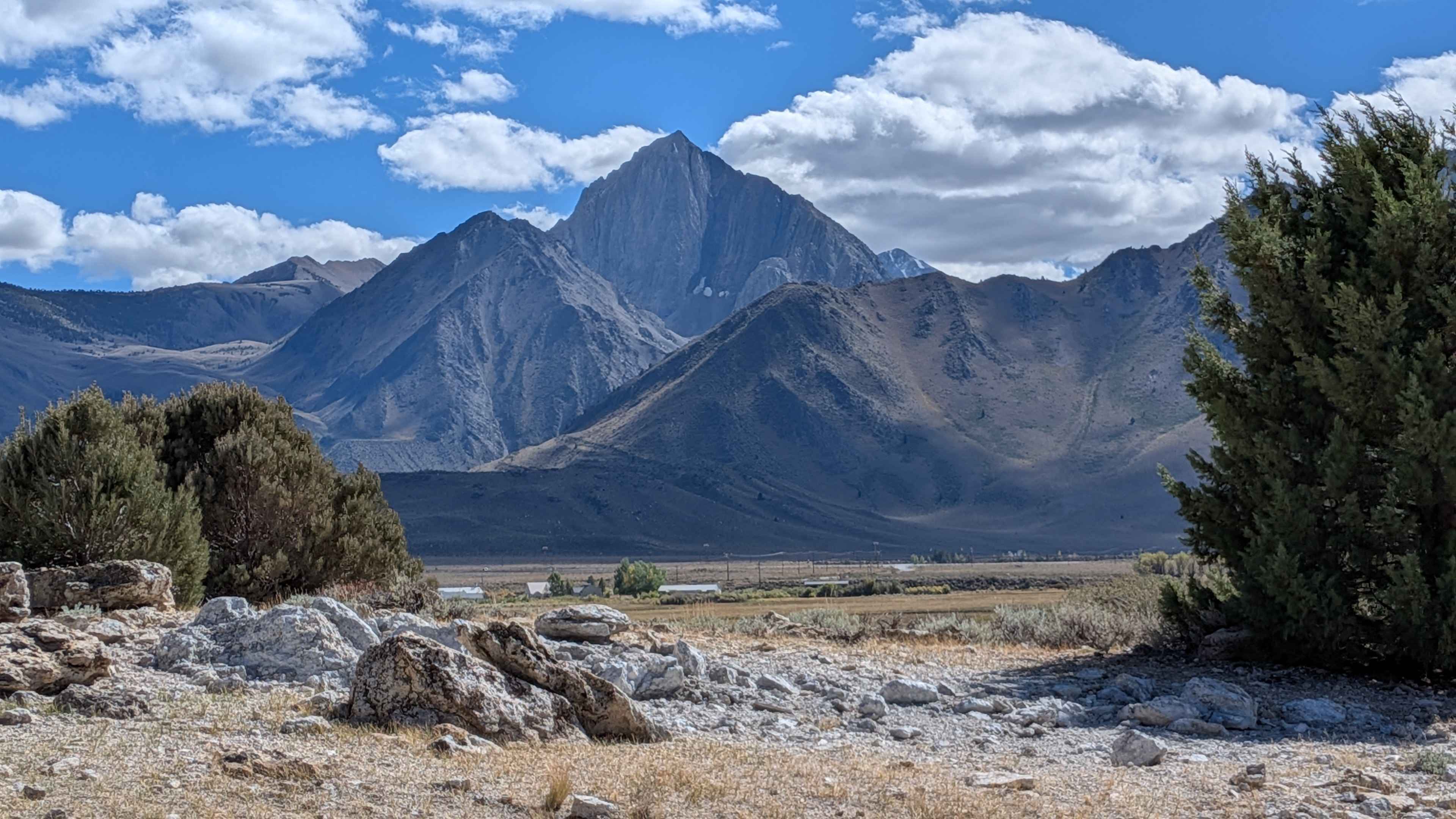 Trees Planted Road - FS 3S60