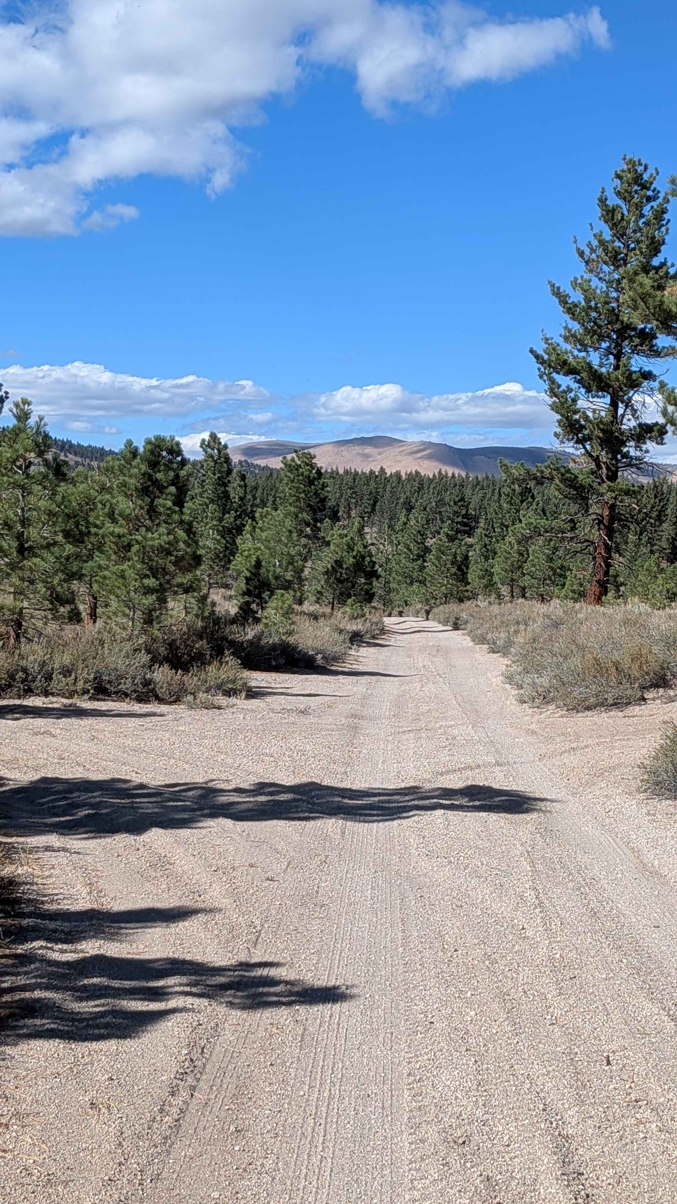 Claypit Cutoff - FS 3S07