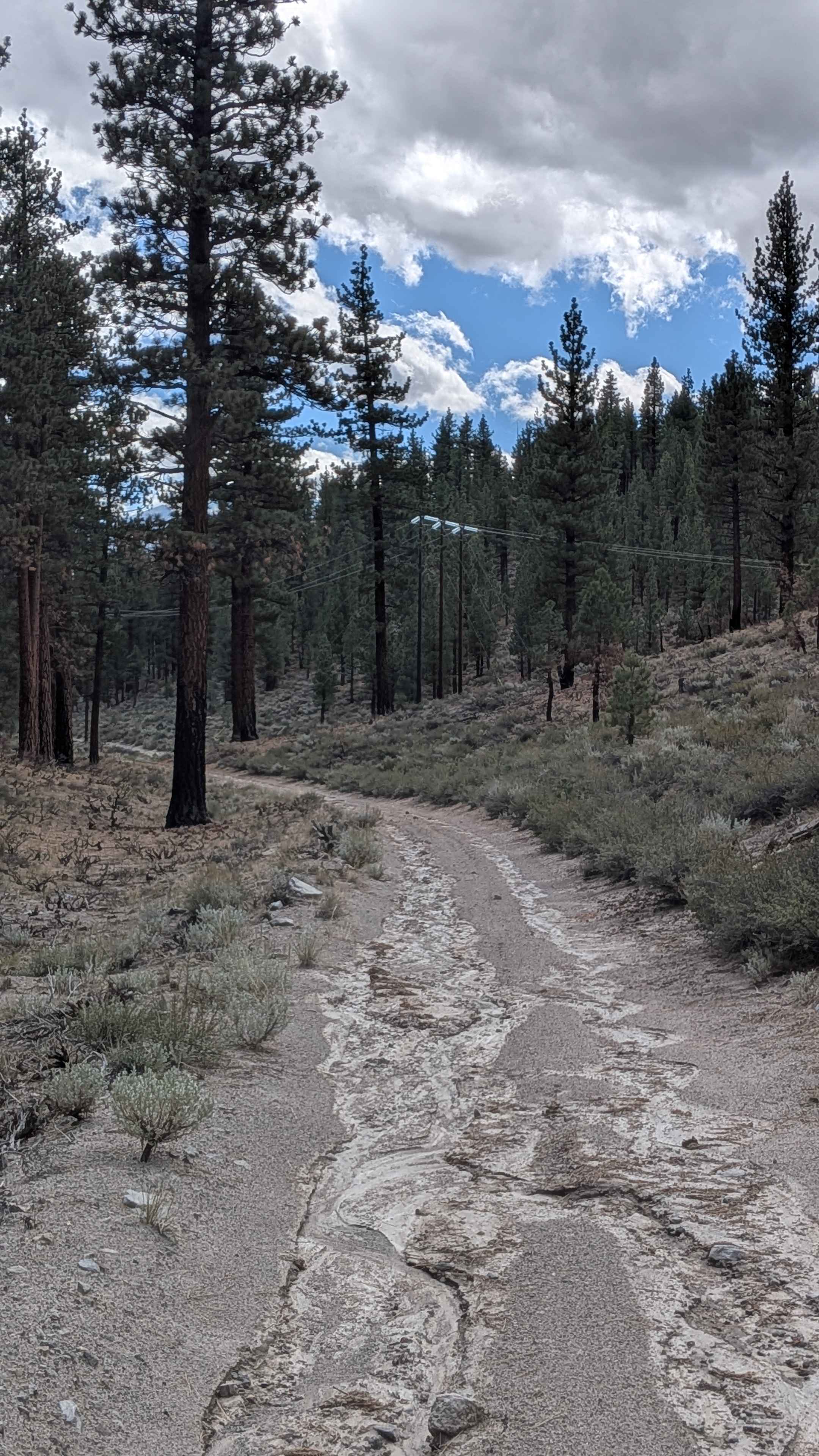 Pumice Canyon - FS 3S41