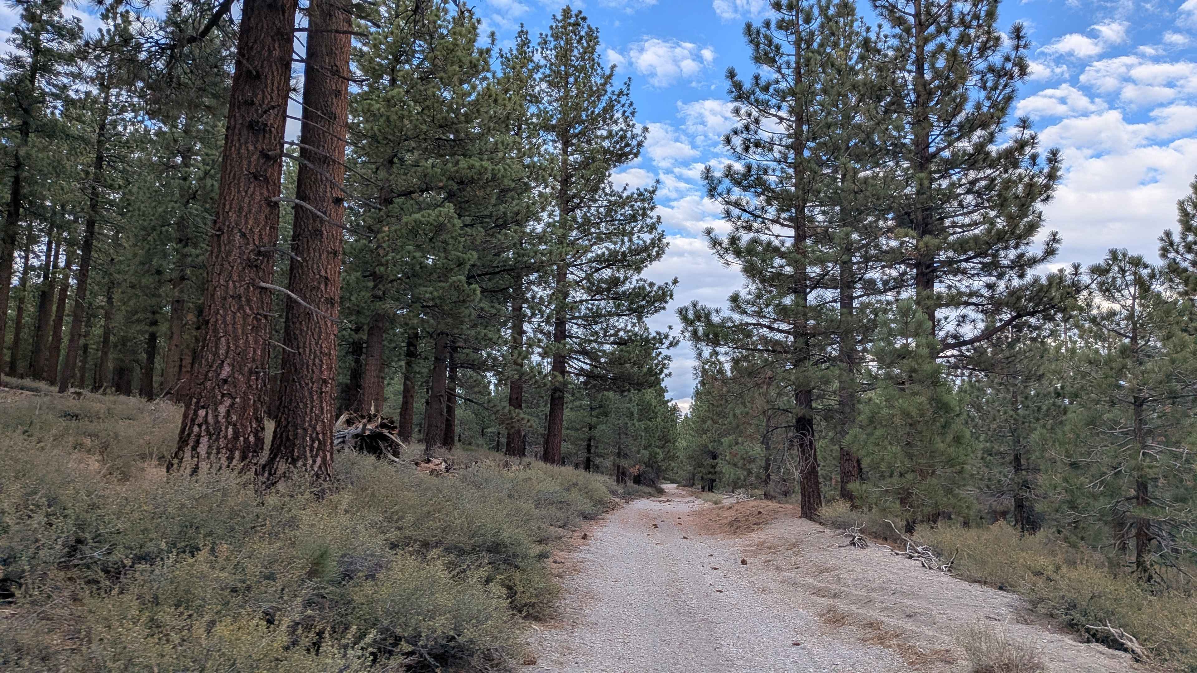 Alpers Canyon - FS 103