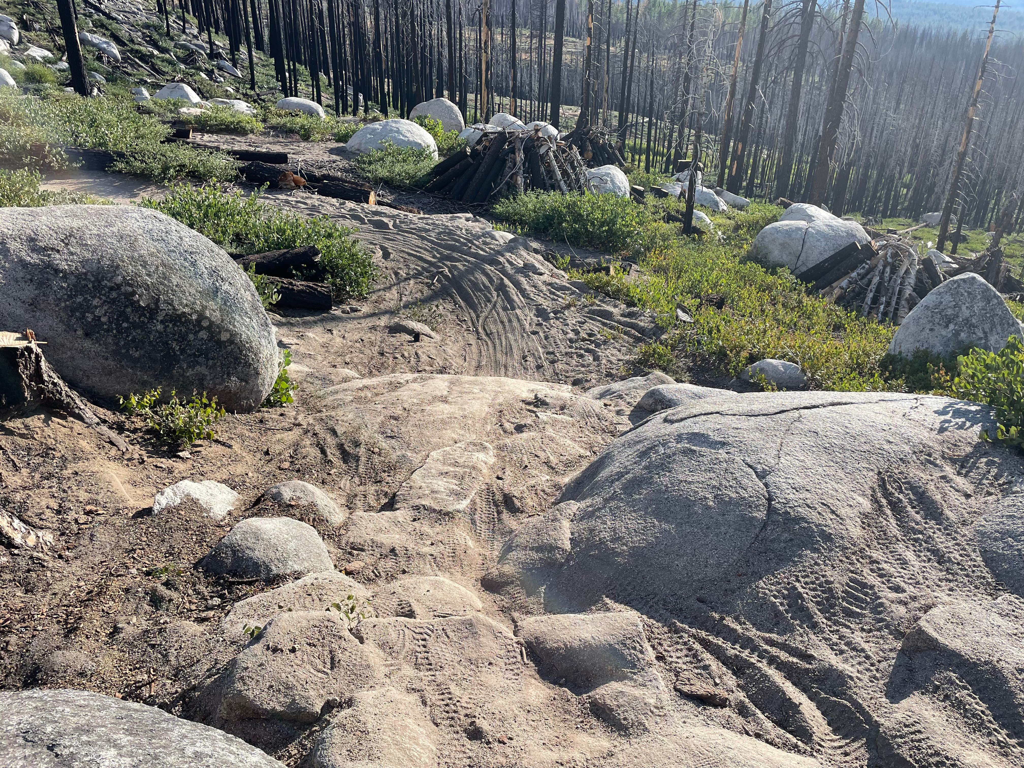 Sierra Sidewinder Trail