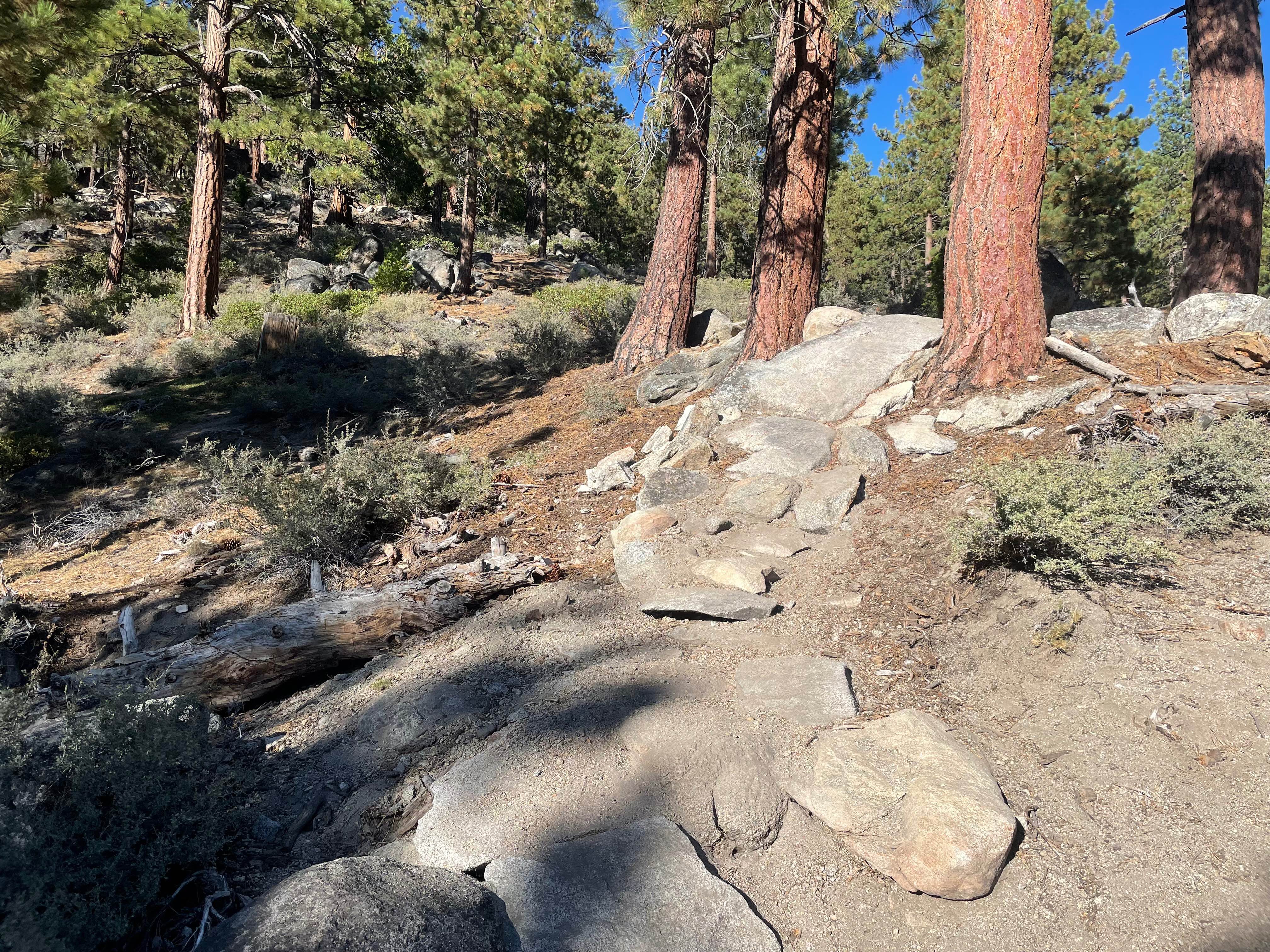 Lower Kingsbury Stinger Alternate - FS 18E46