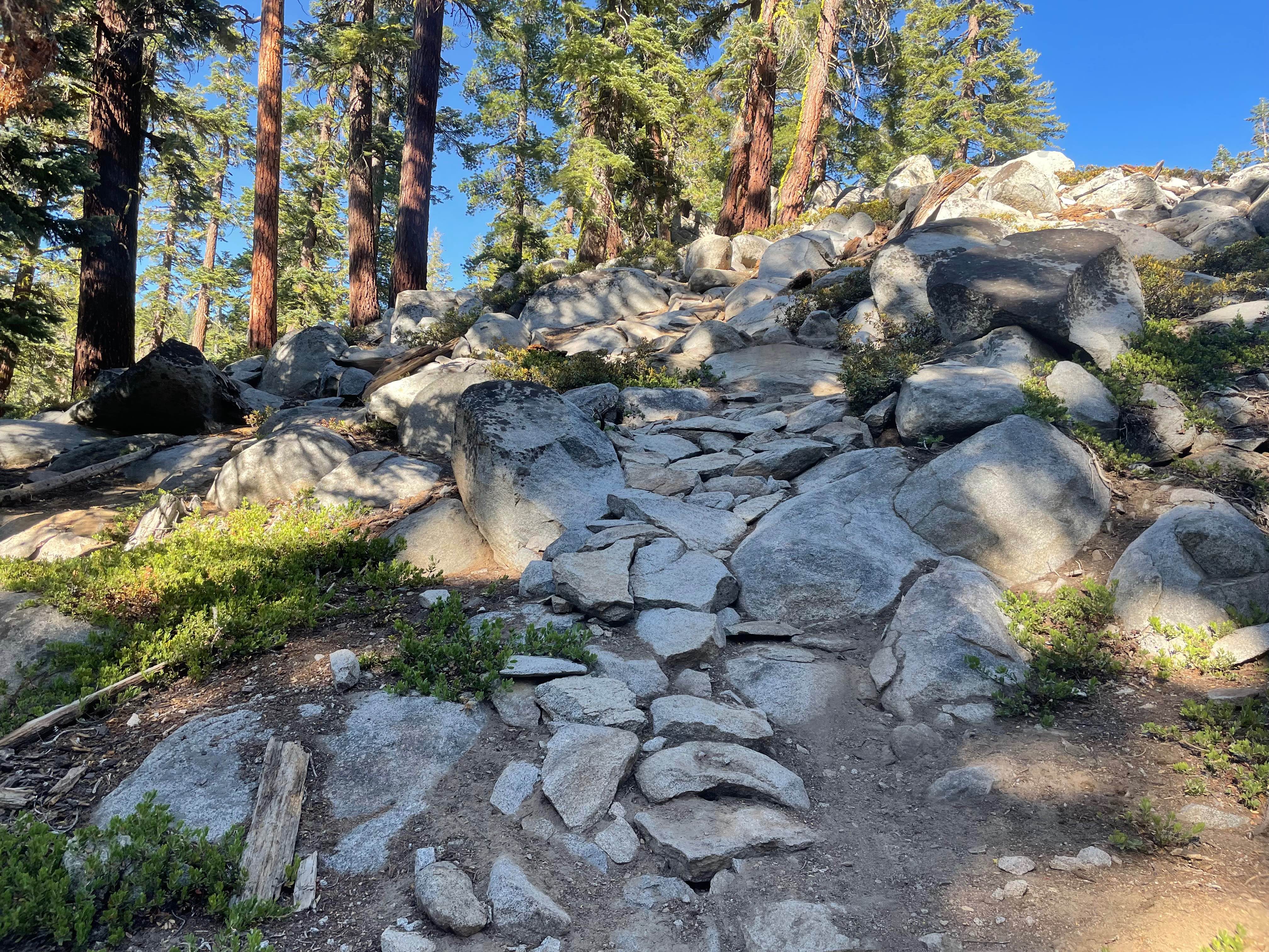 Kingsbury Stinger Trail