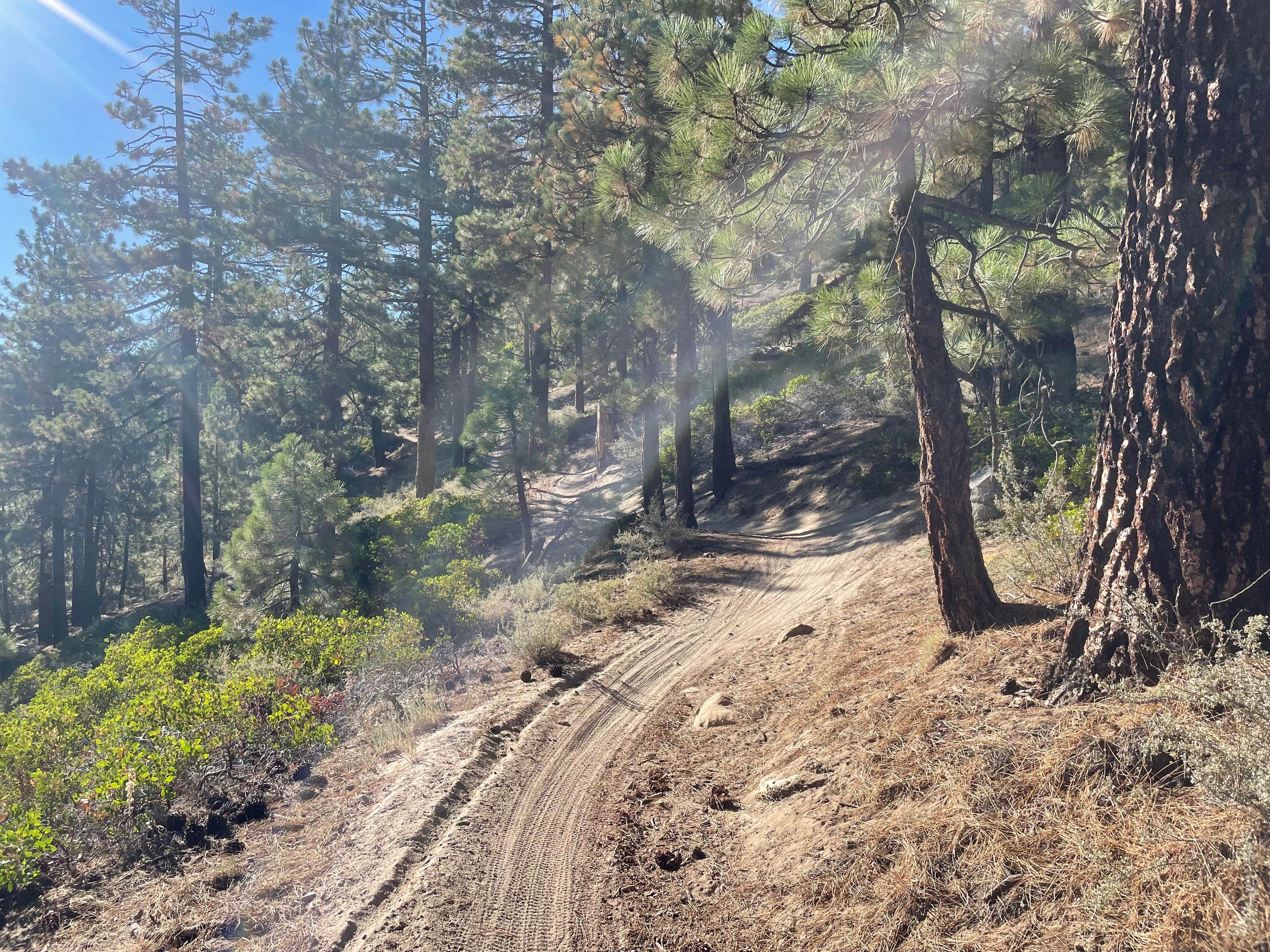 Kingsbury Stinger Trail