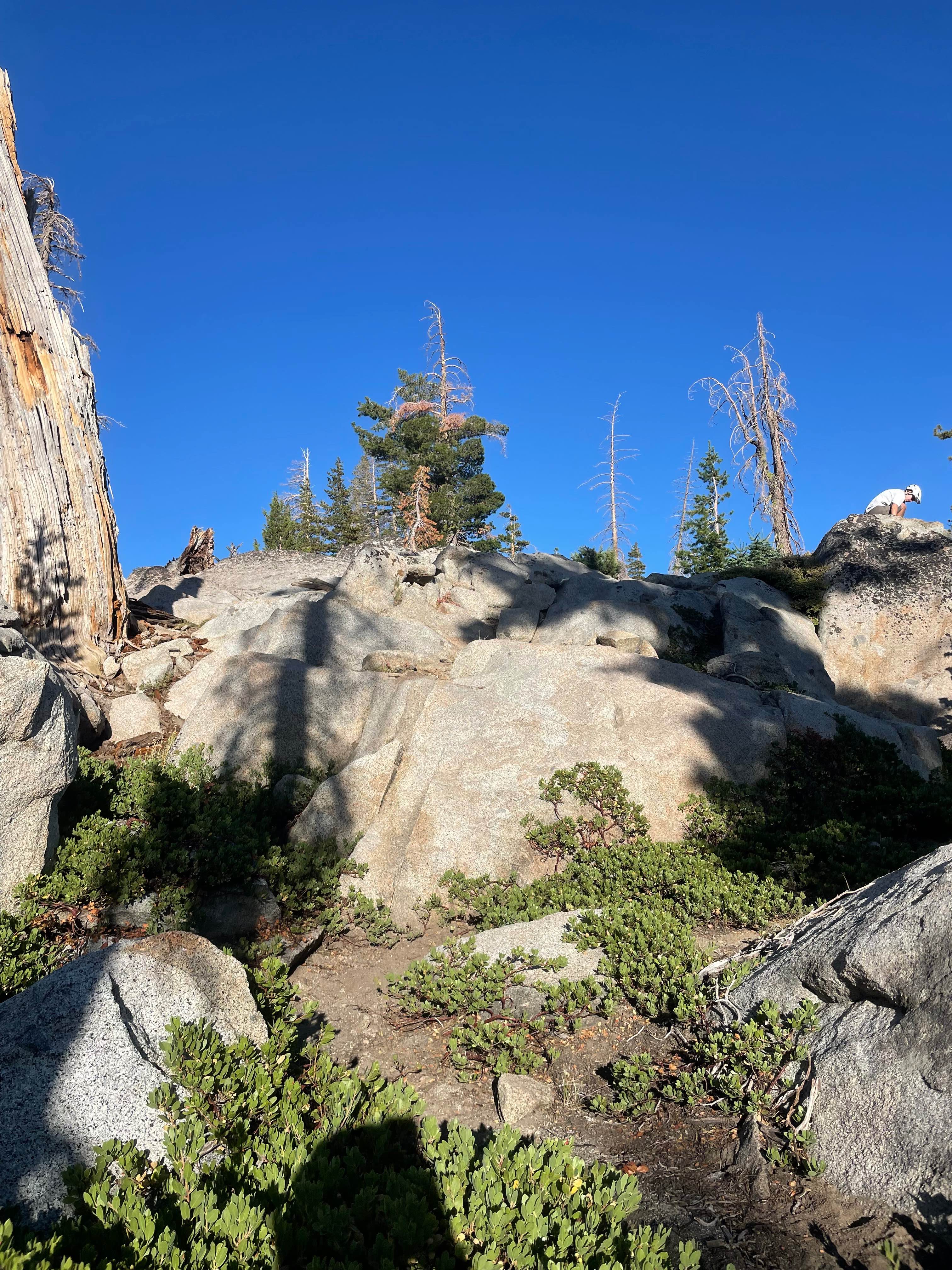 Buck Pasture Trail (West)