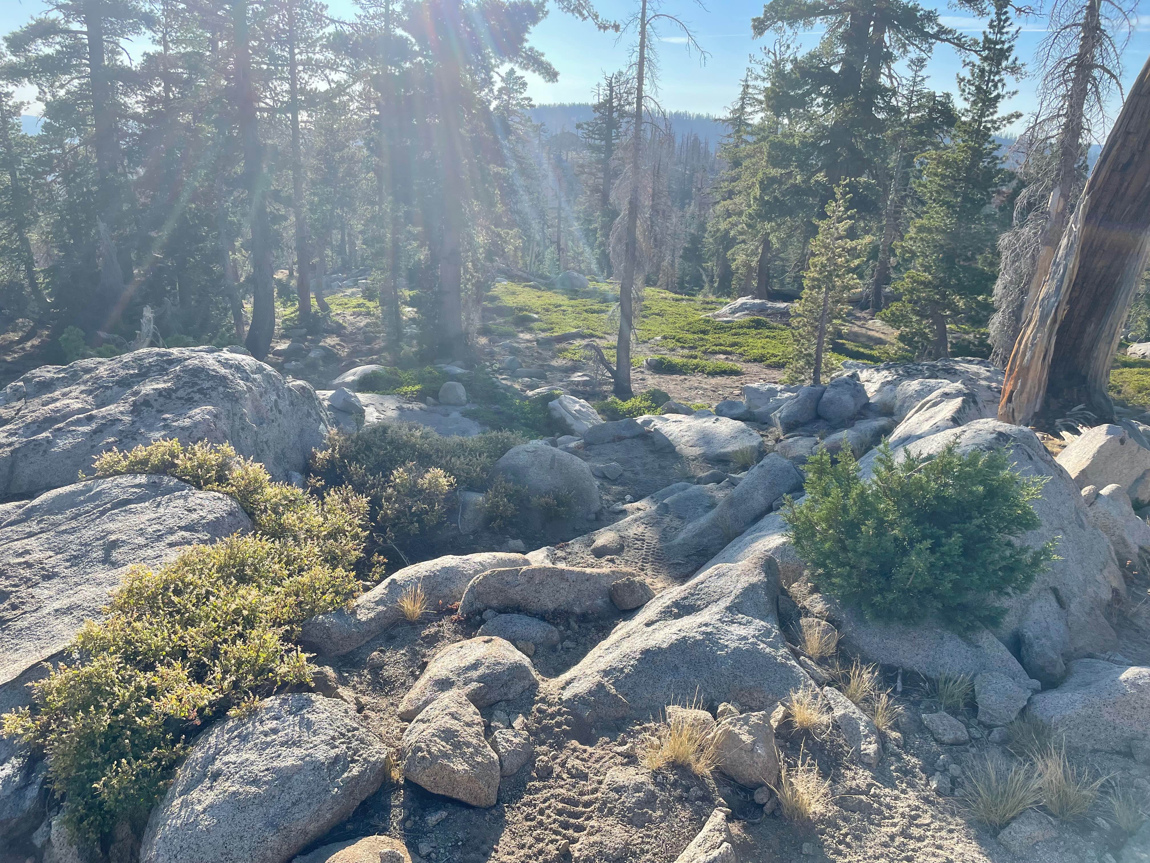 Buck Pasture Trail (West)